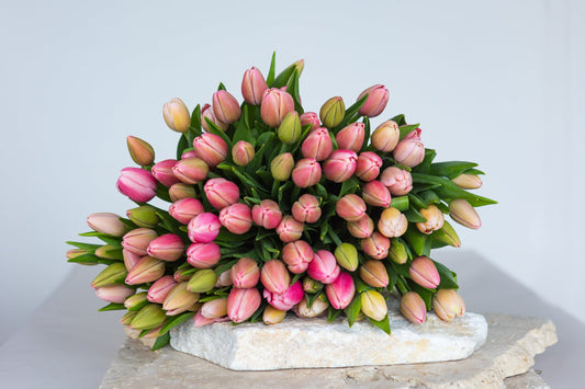 Flowers in NZ: A Seasonal Guide