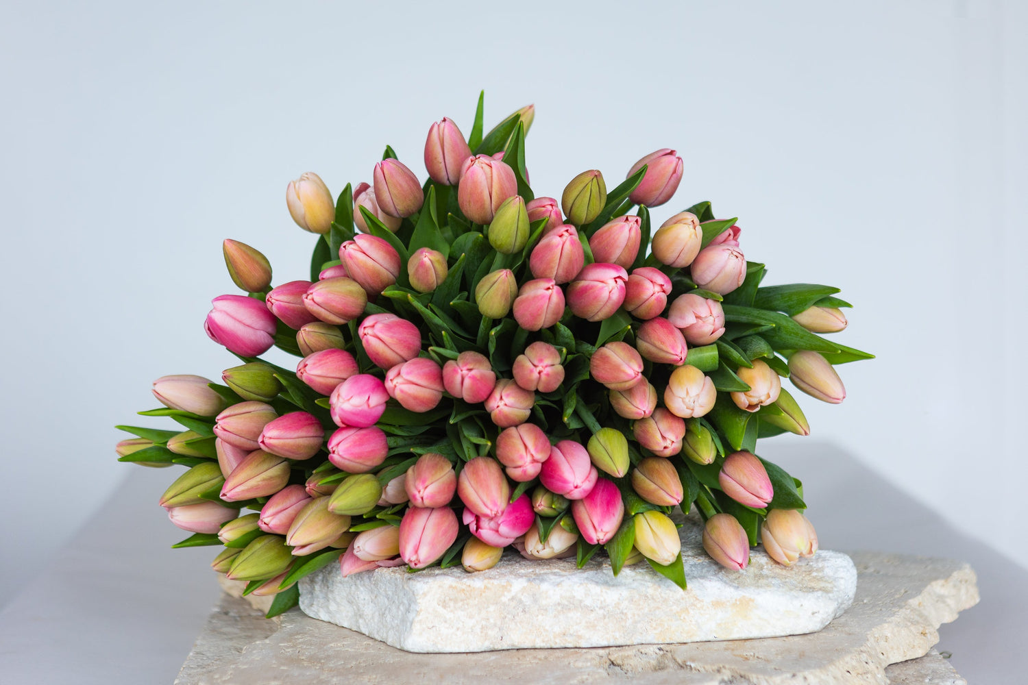 TULIPS EN MASSE - Flowers After Hours