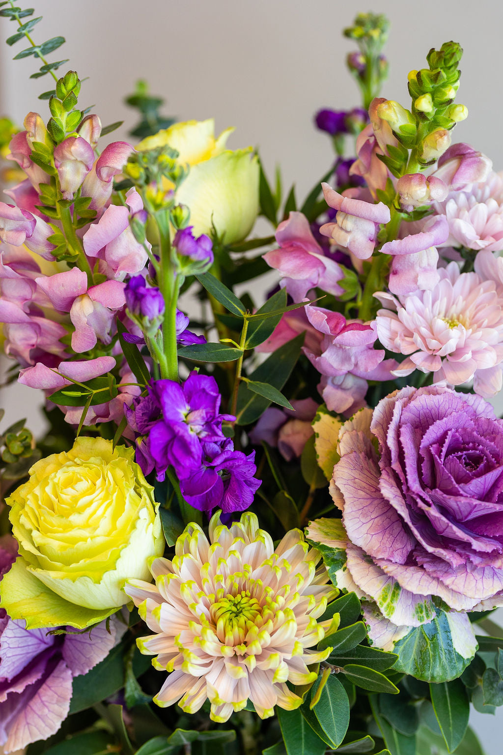 SUGARED VIOLET