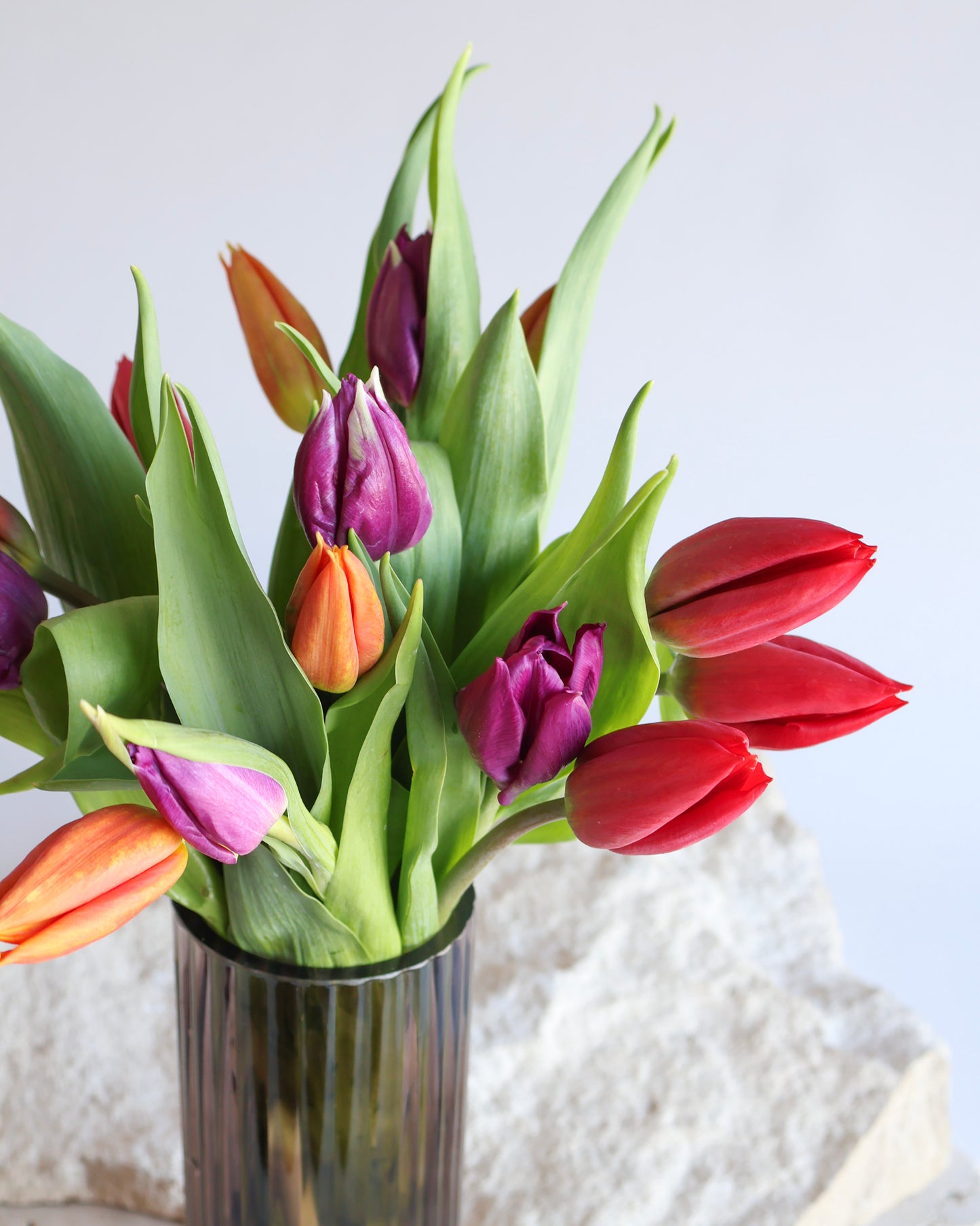 MID WEEK DEAL: FRUIT PUNCH TULIP BOUQUET