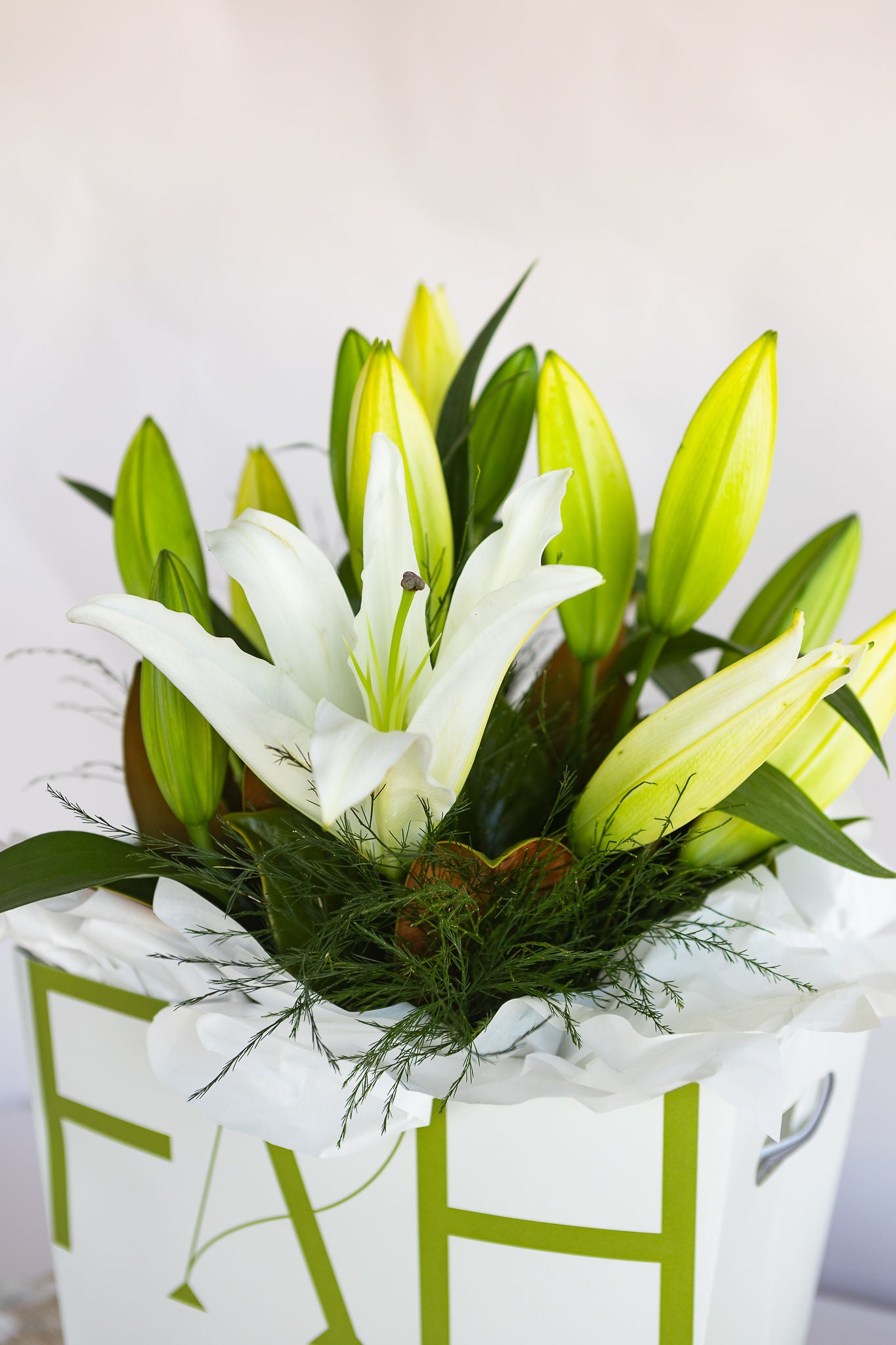 LOVELY LILIES WHITE