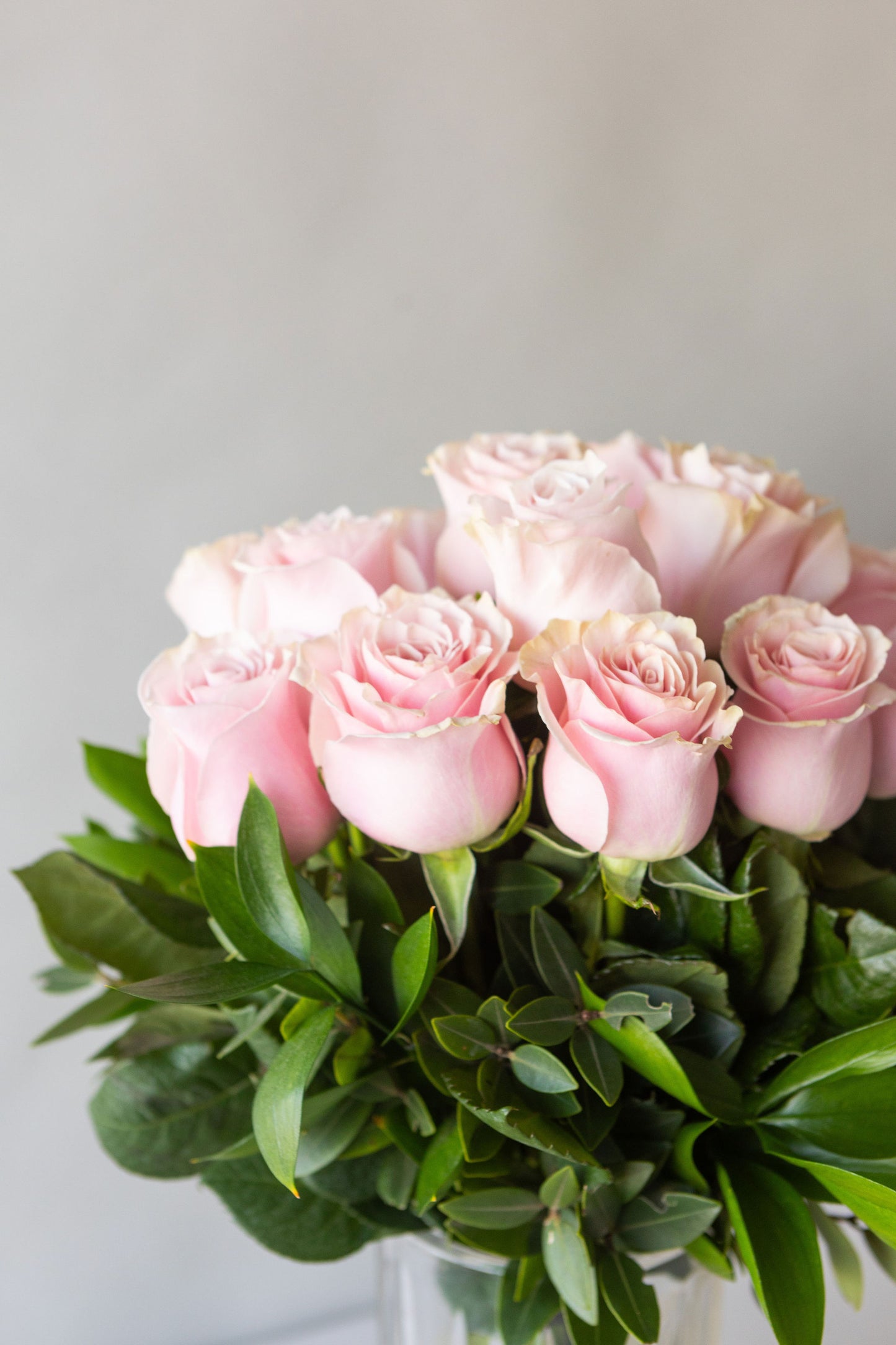 BAG OF BLUSH