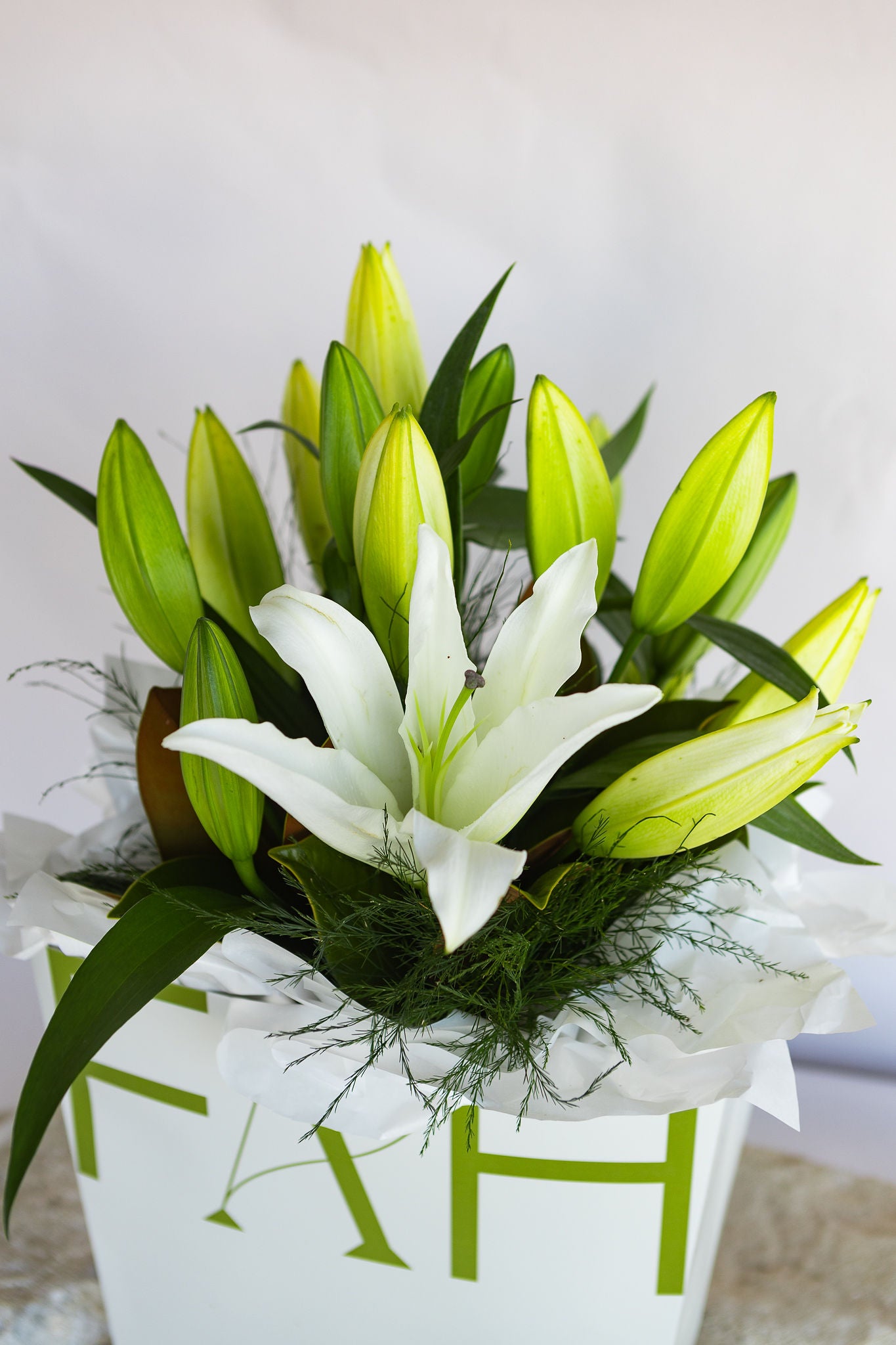 LOVELY LILIES WHITE