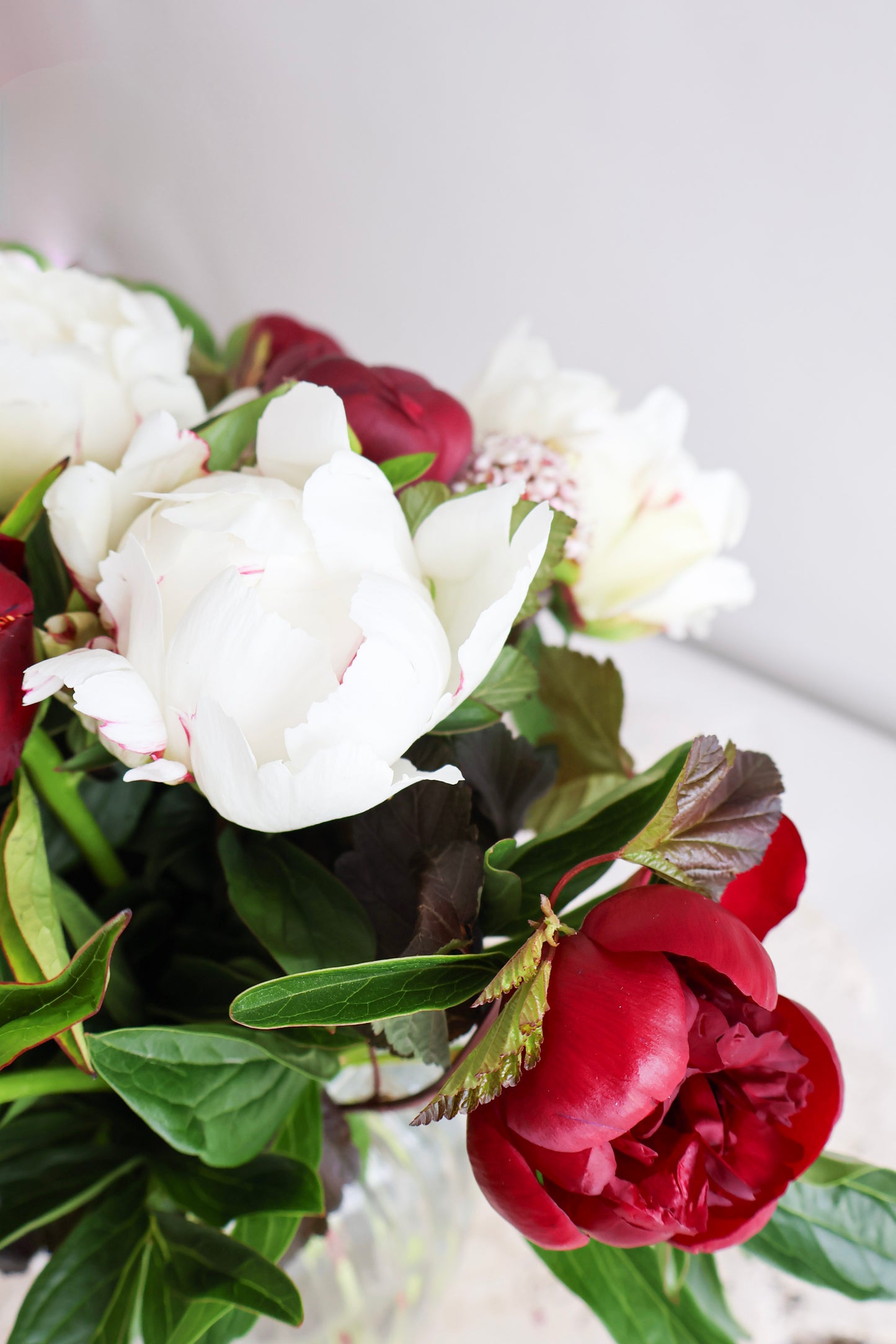 WEEKEND SPECIAL: RED CHARM & WHITE PEONY BOUQUET