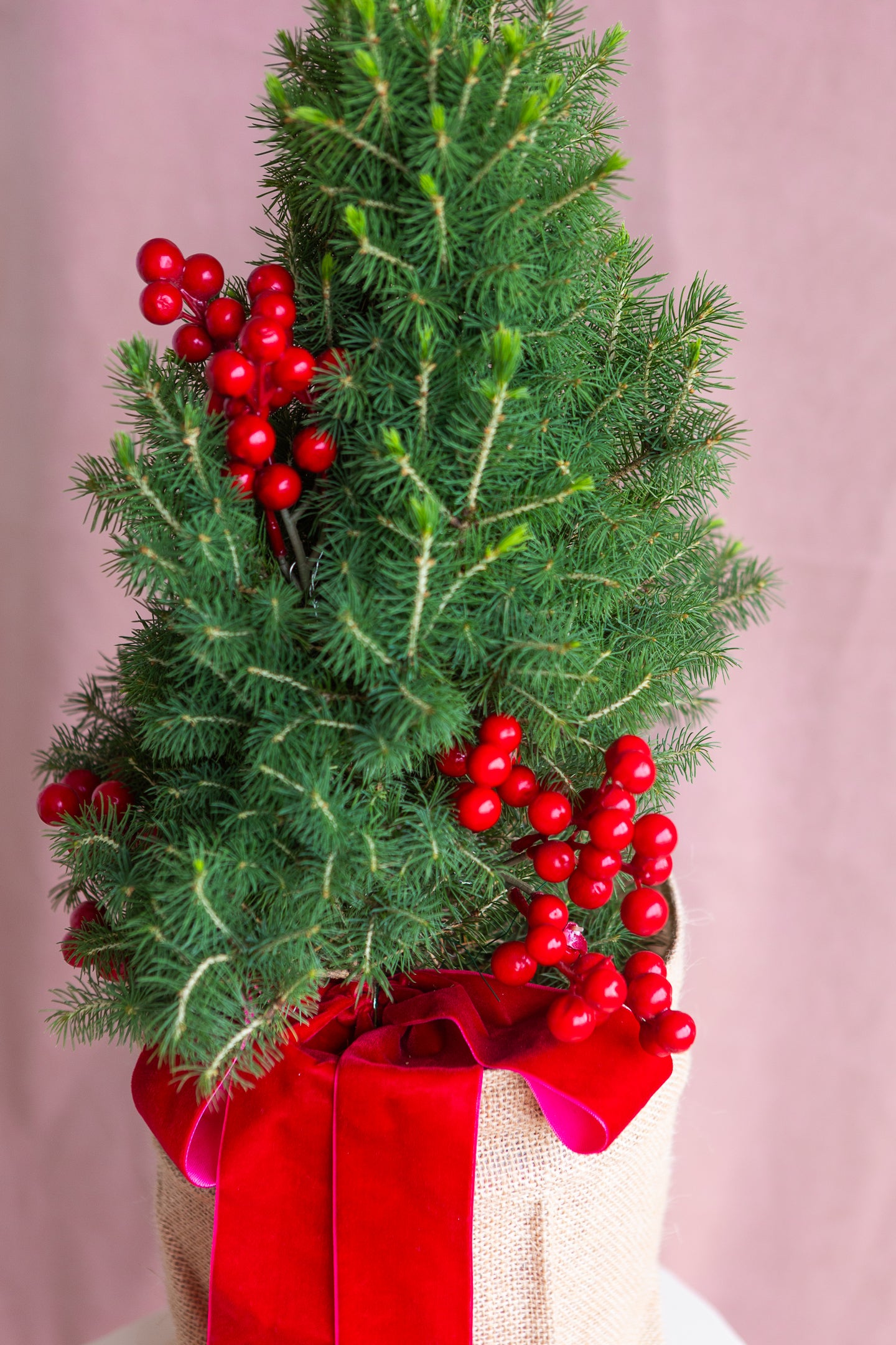 PETITE LIVING RIBBON CHRISTMAS TREE