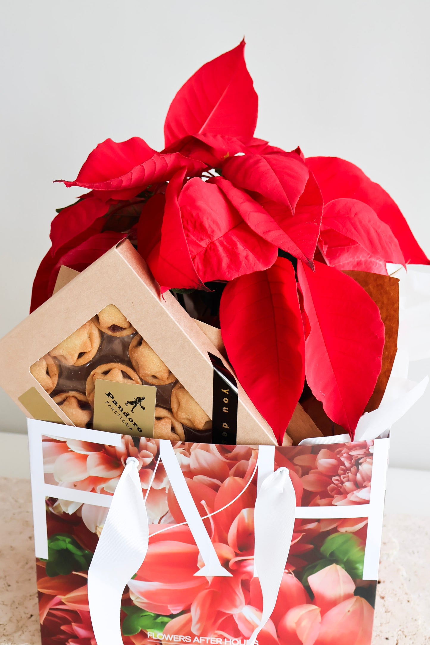 WEEKEND SPECIAL: RED POINSETTIA PLANT & PANDORO MINCE PIES GIFT BAG
