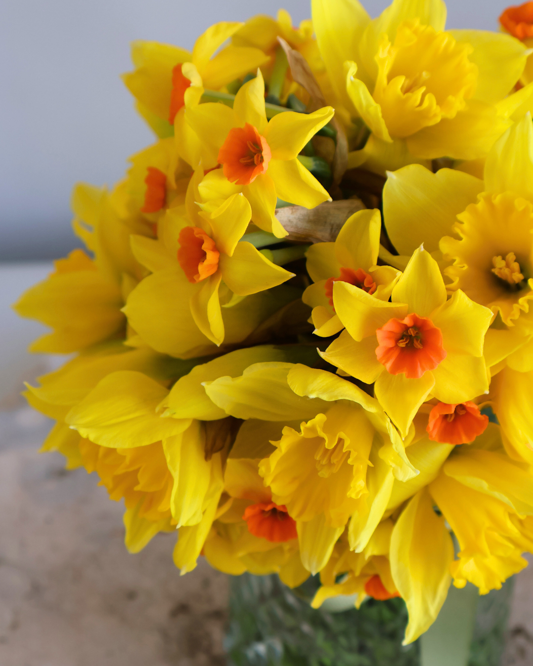 FAH DAFFODIL DAY BOUQUET - $2 FROM EVERY PURCHASE DONATED