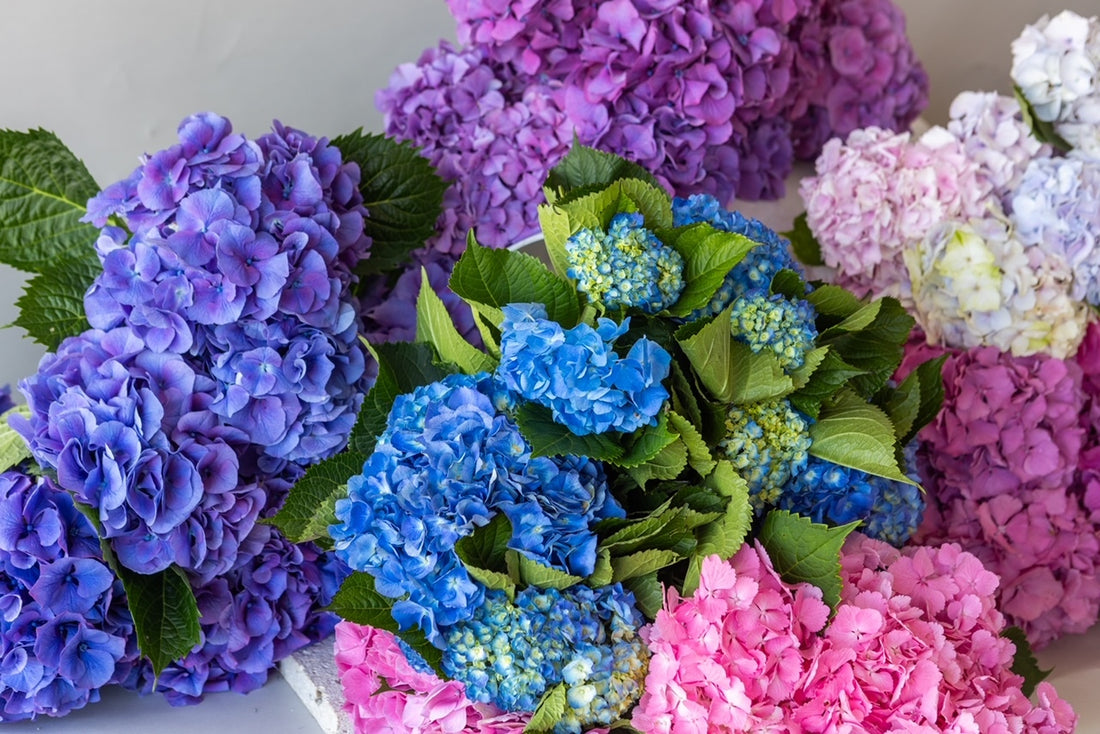 Fresh bouquet of flowers in a wooden vase