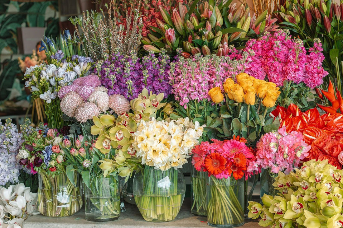 A Guide to the World’s Most Popular Flowers for Bouquets, Posies, and More