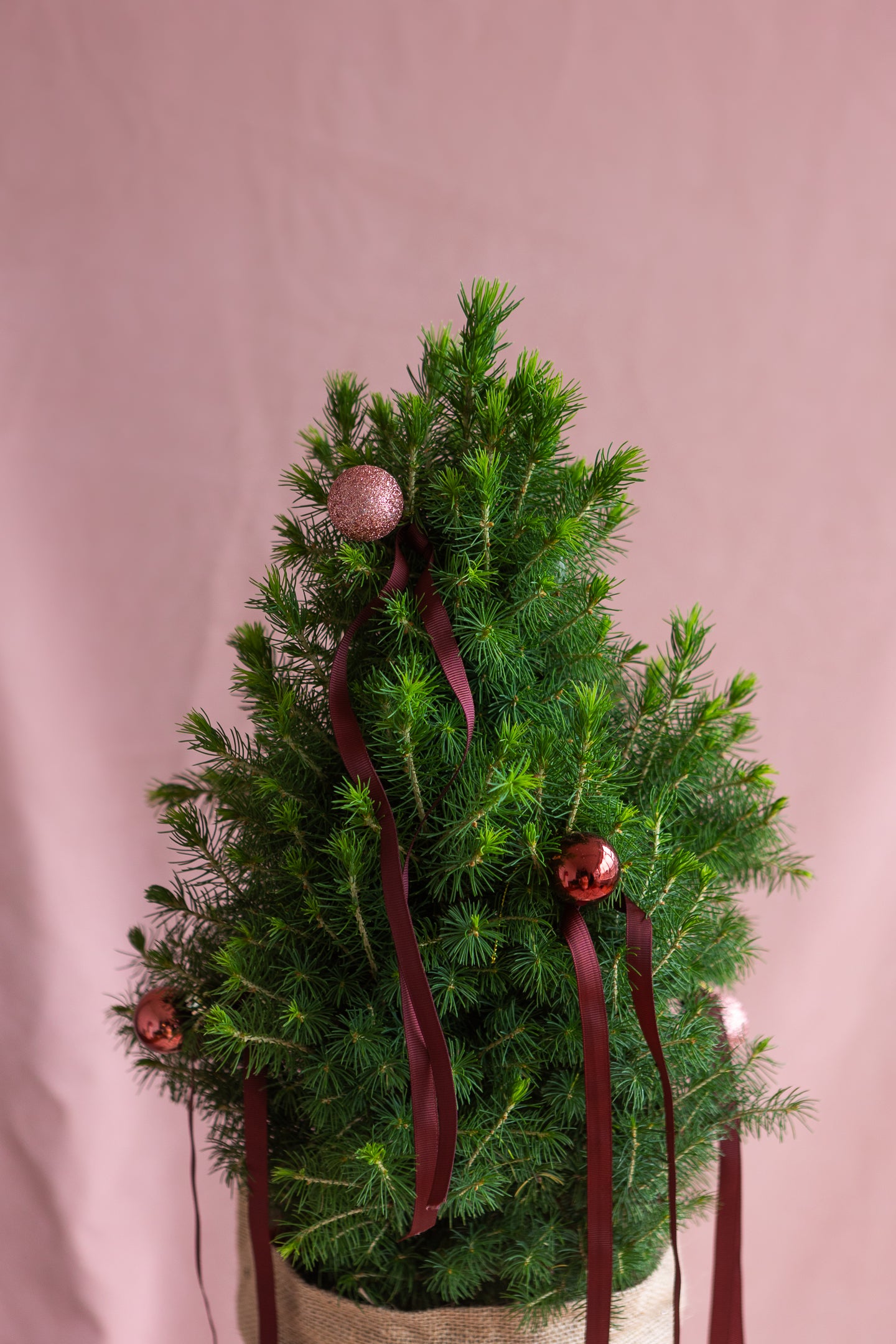 PETITE LIVING RIBBON CHRISTMAS TREE