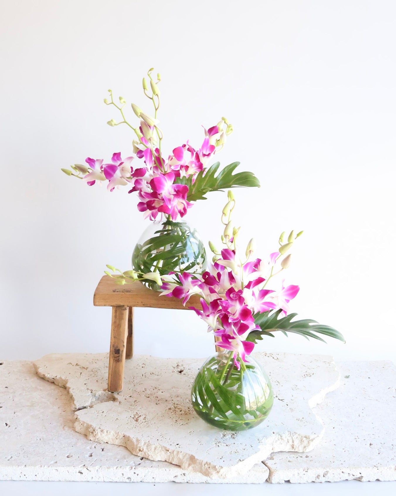 MID WEEK DEAL: BOTANICA ORCHID VASE
