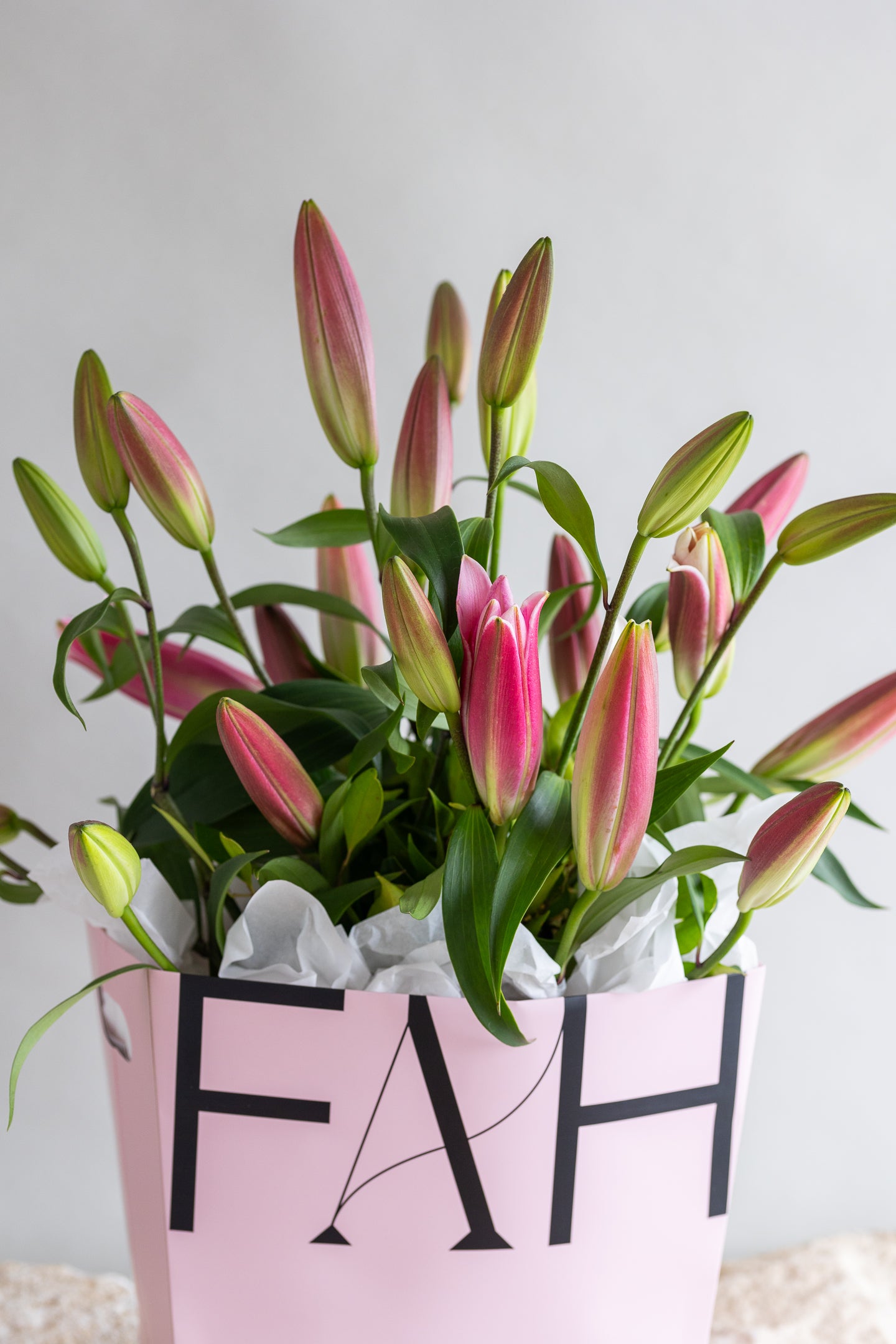 LOVELY LILIES PINK