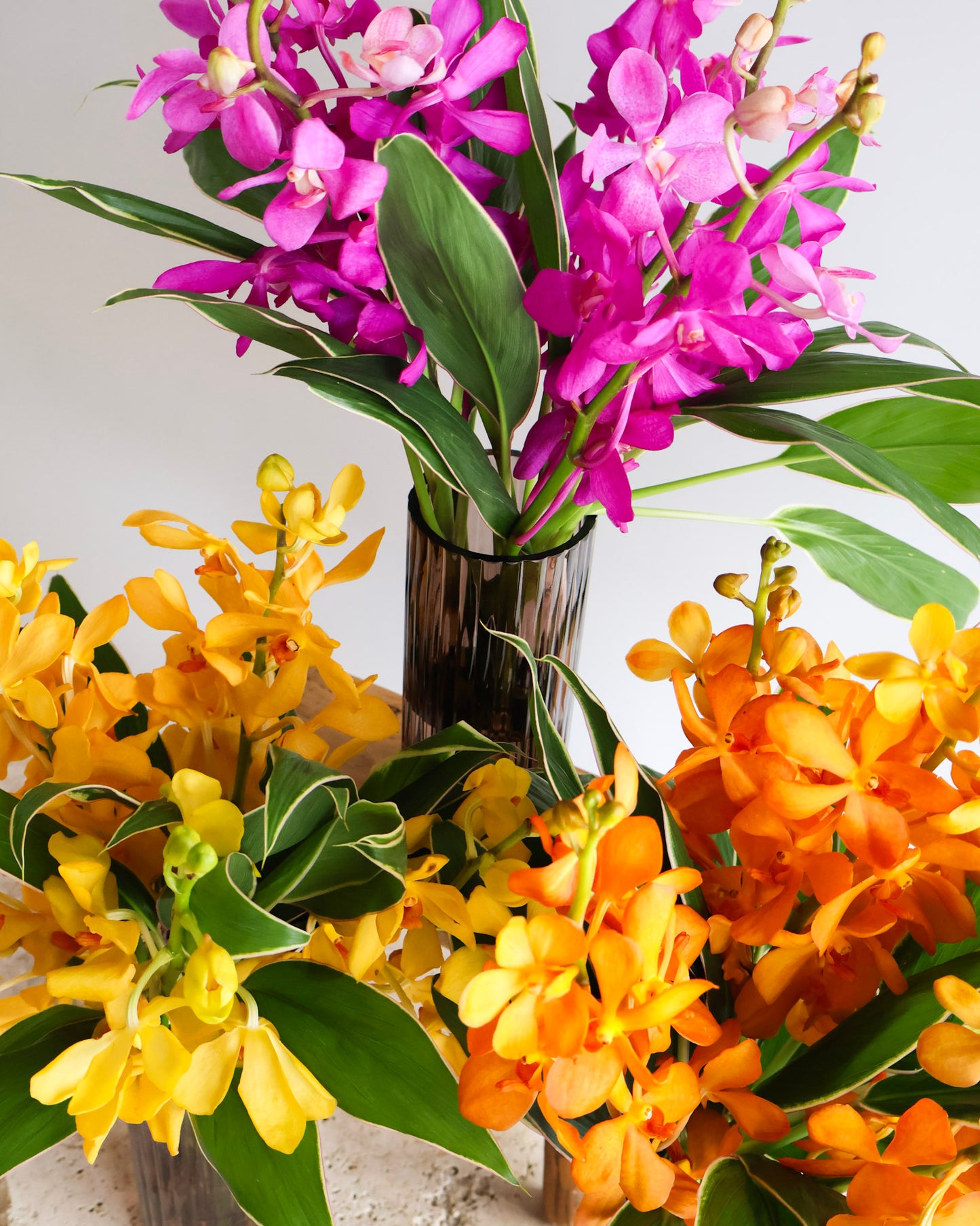 WEEKEND SPECIAL: TROPICAL PUNCH VASE ARRANGEMENT