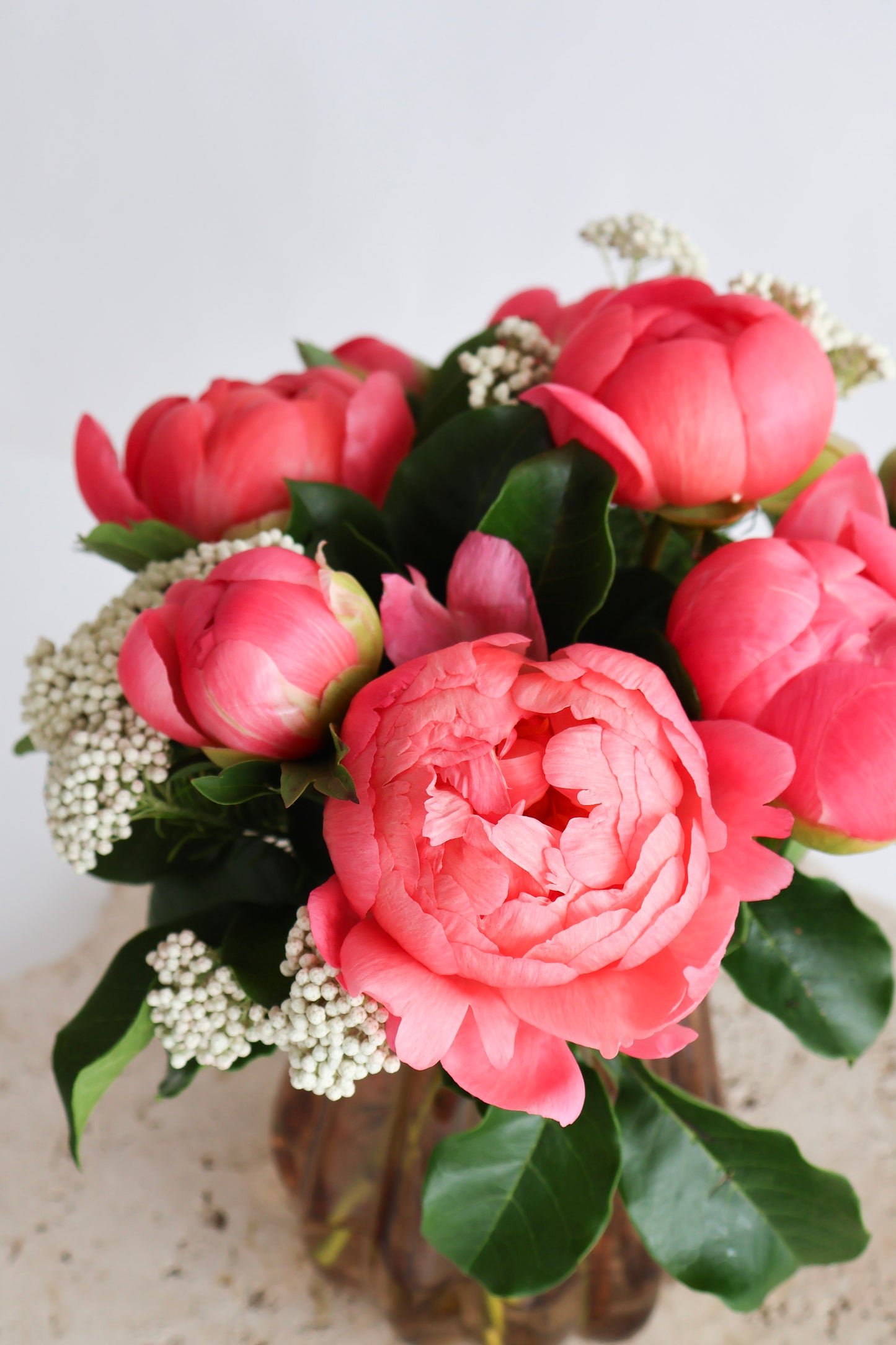 MID WEEK DEAL: CORAL PEONY MINI BLOOMETTE BAG