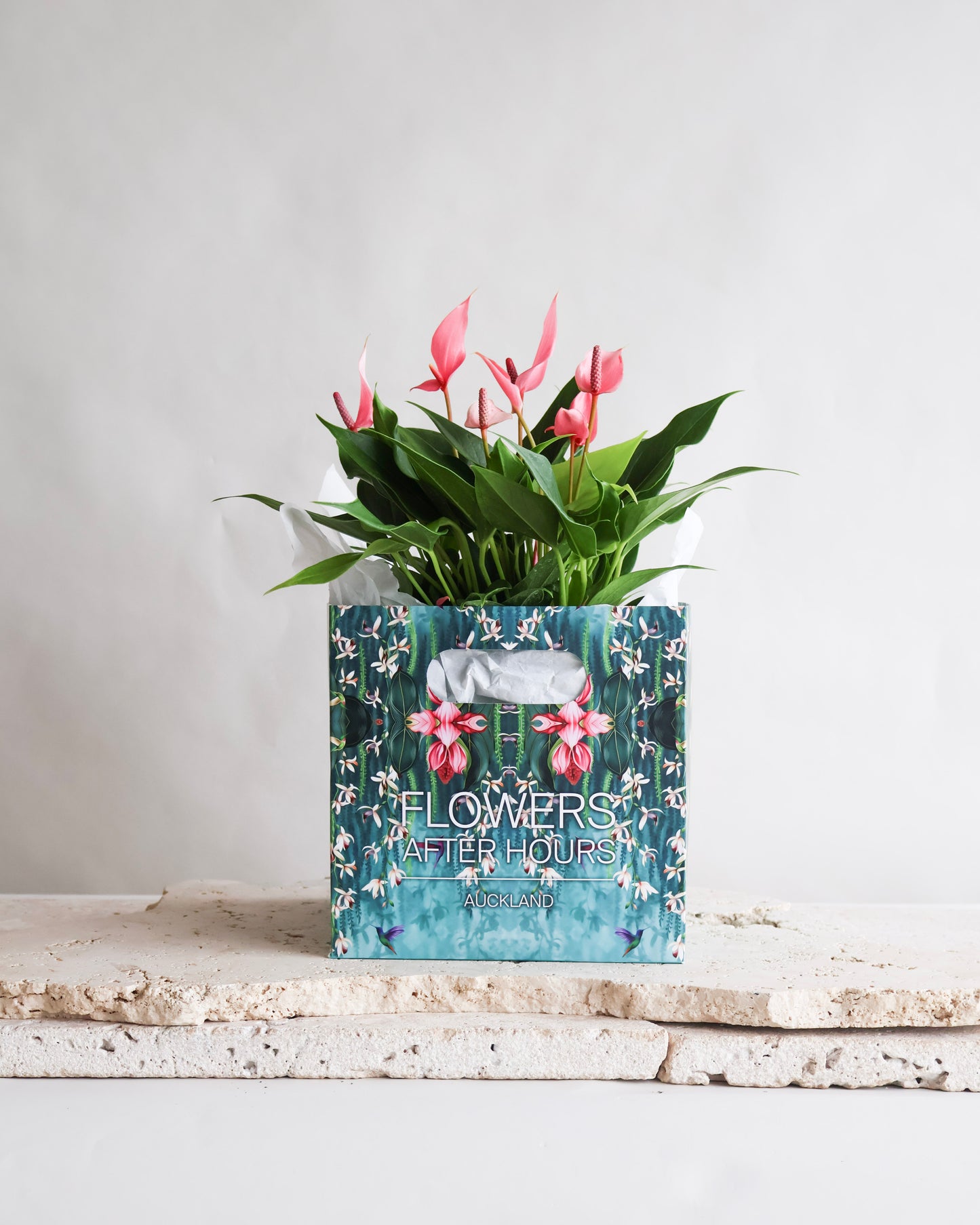 MOTHERS DAY SPECIAL: PINK FLAMINGO ANTHURIUM PLANT IN CERAMIC PLANTER