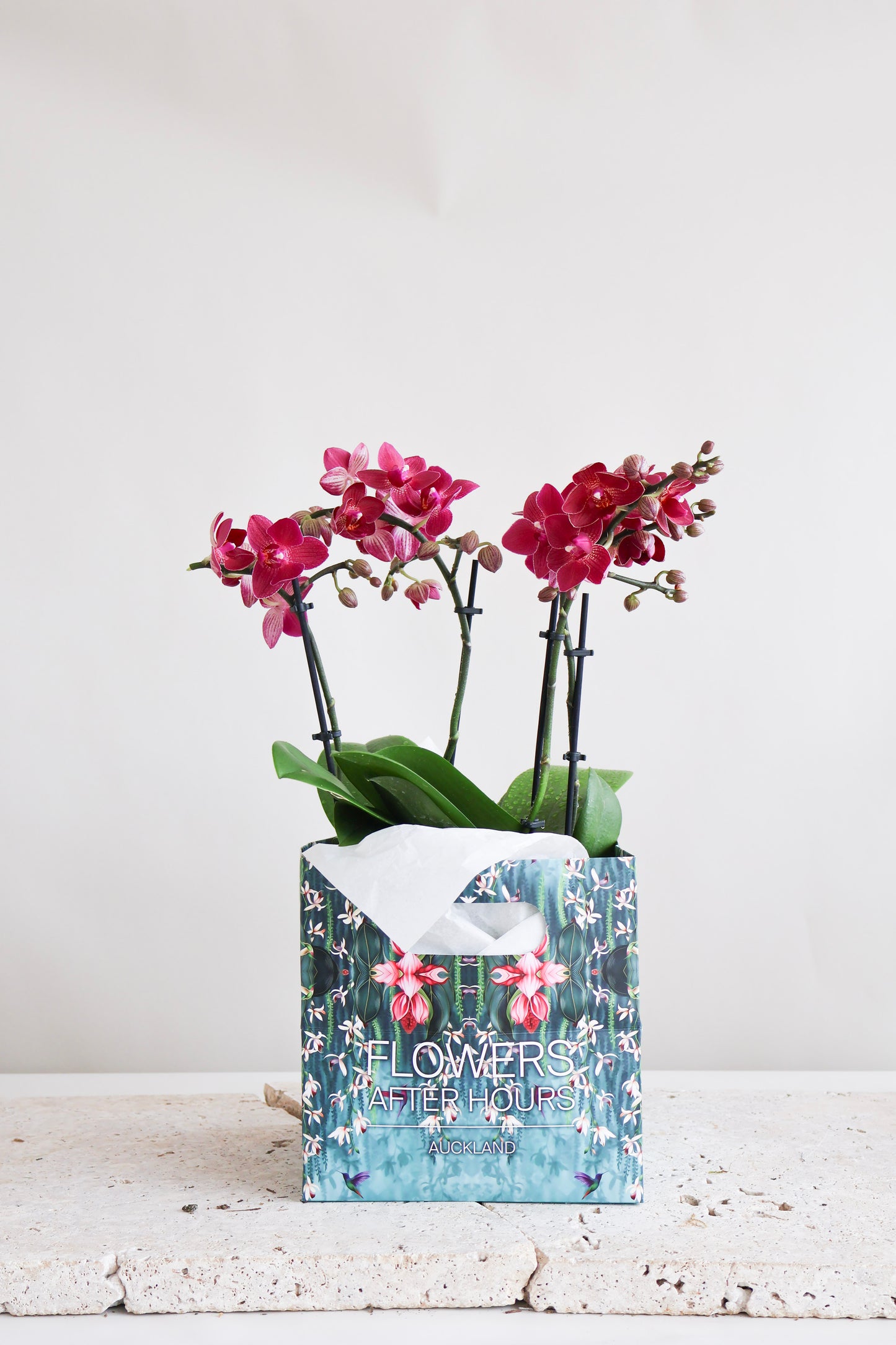 WEEKEND SPECIAL: MAGENTA ORCHID BOWL