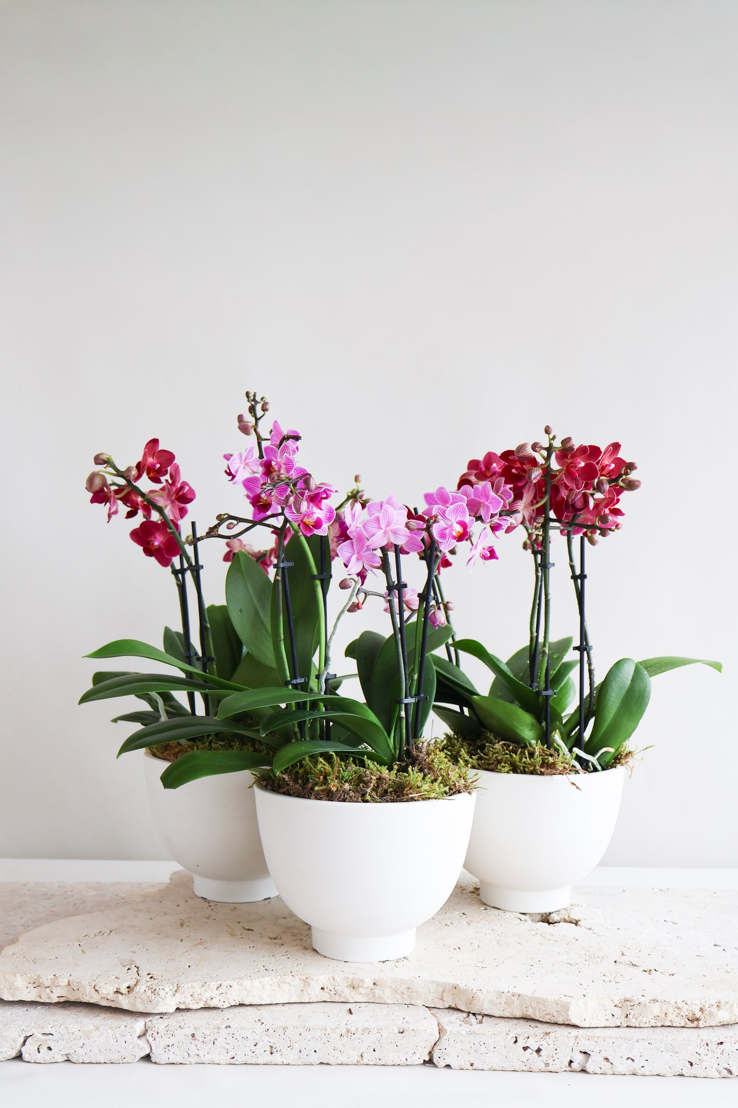 WEEKEND SPECIAL: MAGENTA ORCHID BOWL