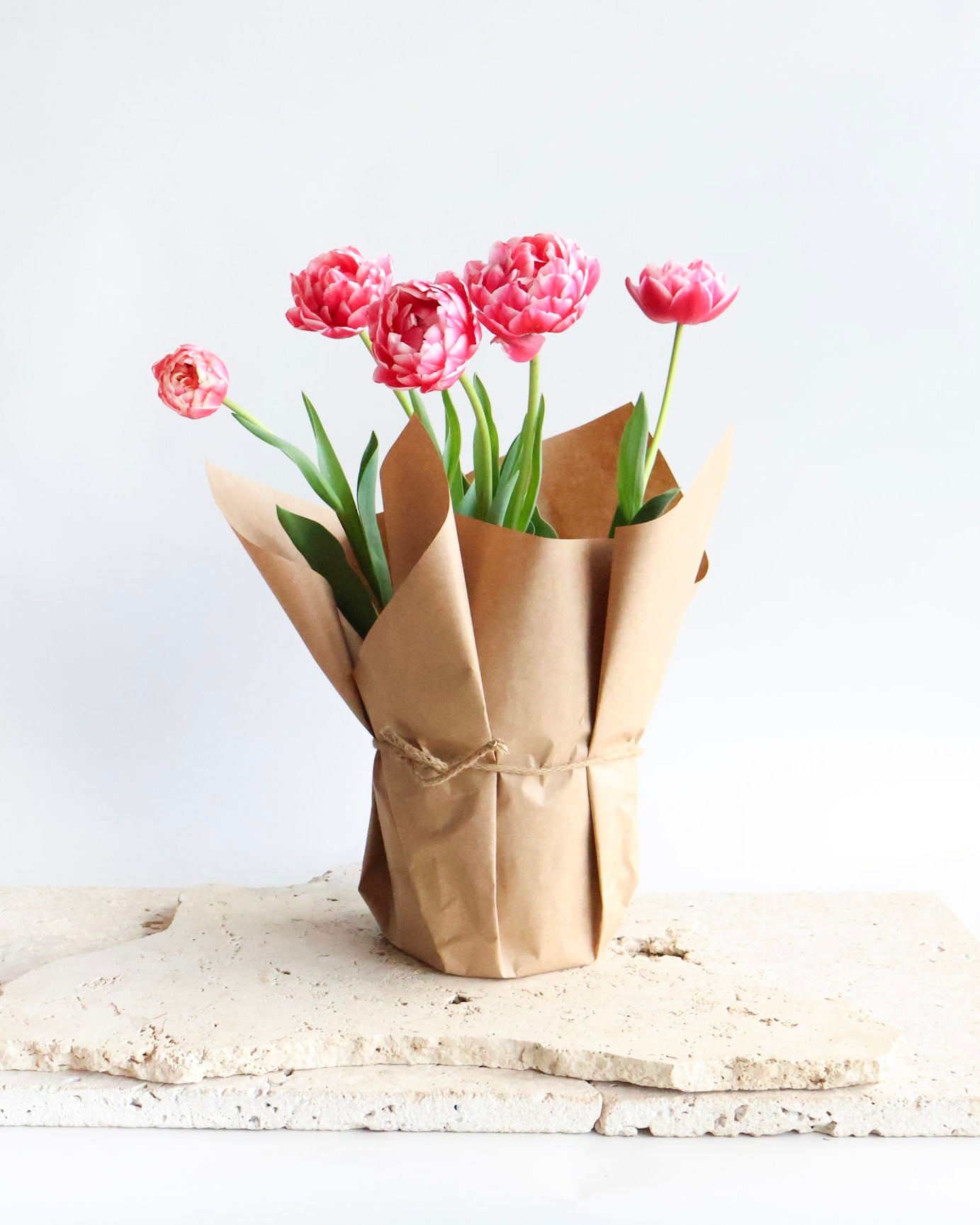 WEEKEND SPECIAL: POTTED PEONY TULIPS PLANT