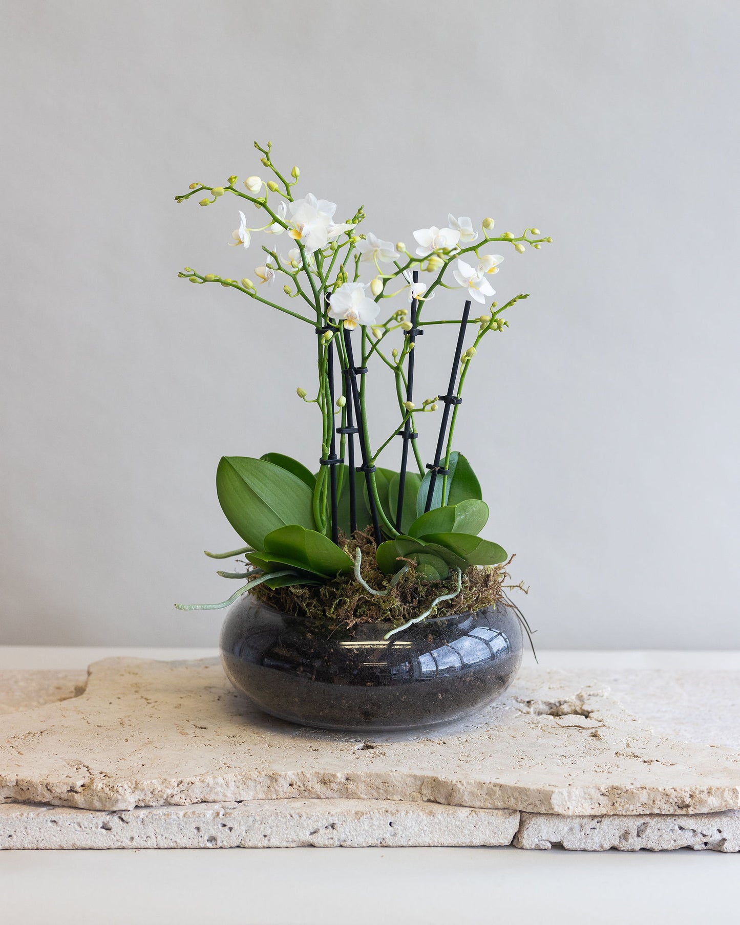 CELINE WHITE ORCHID BOWL