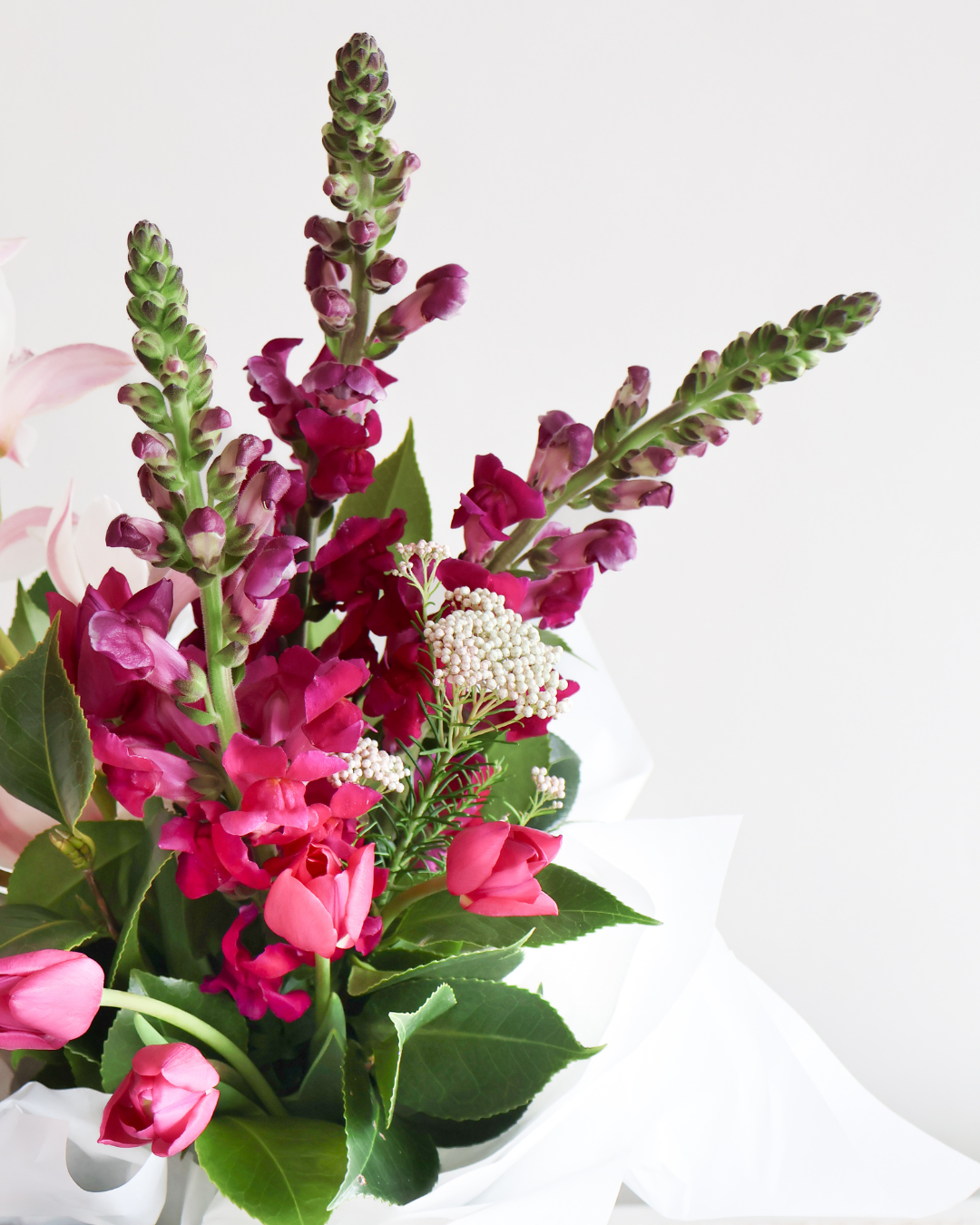 MID WEEK DEAL: MAGENTA MUSE MINI BLOOMETTE BAG