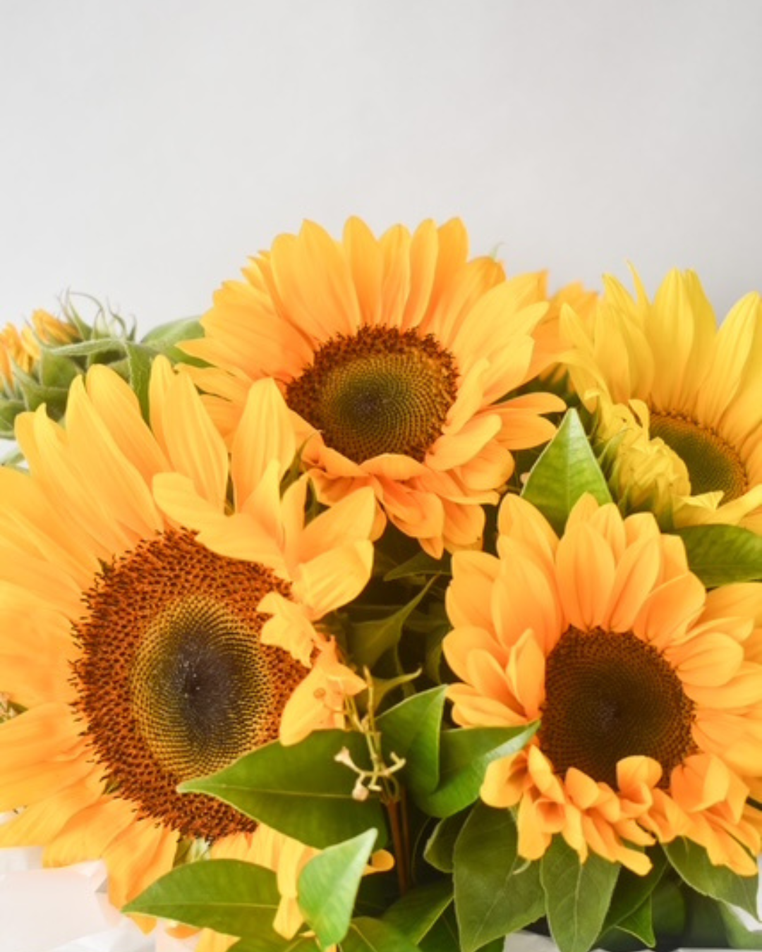 MID WEEK DEAL: SUNFLOWER BLOOM BAG