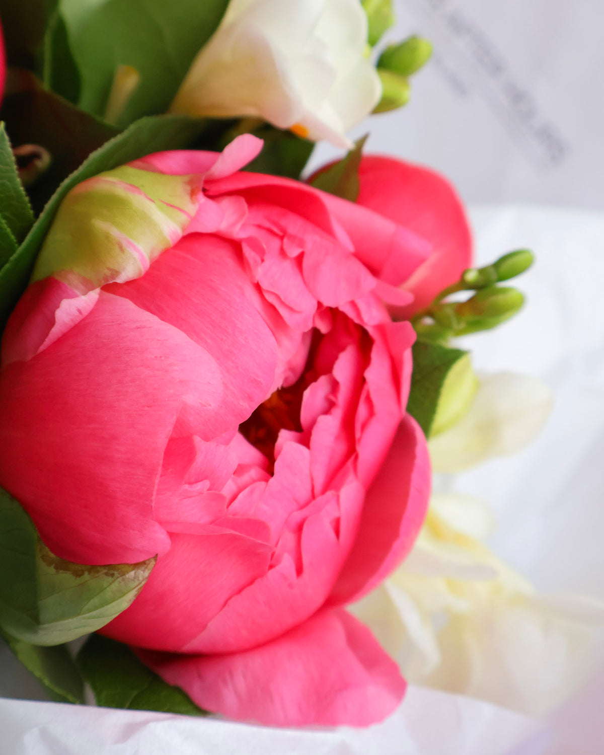 WEEKEND SPECIAL: CORAL KISS PEONY BOUQUET