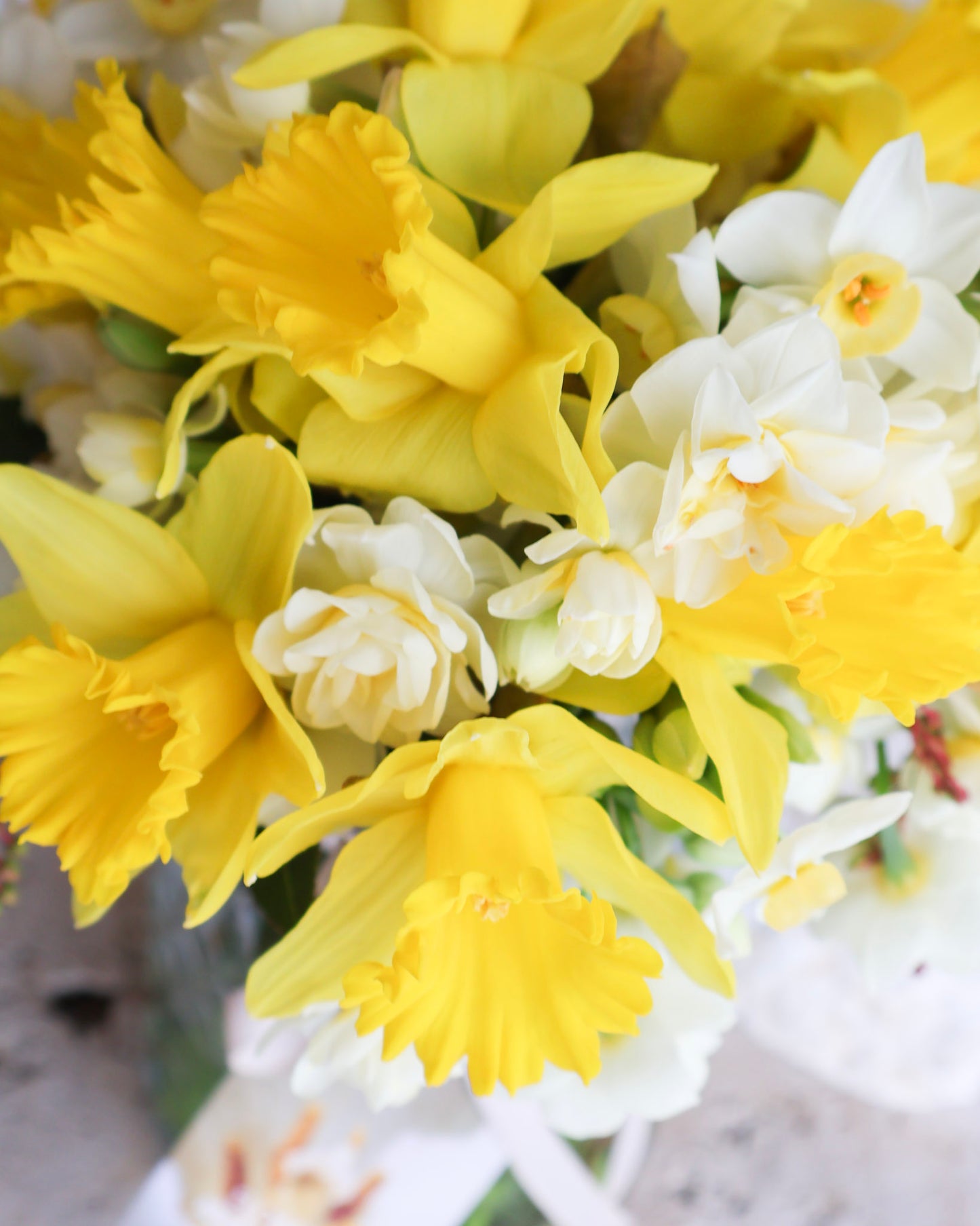 WEEKEND SPECIAL: THE PROMISE OF SPRING BOUQUET