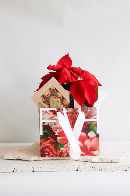 WEEKEND SPECIAL: RED POINSETTIA PLANT & PANDORO MINCE PIES GIFT BAG