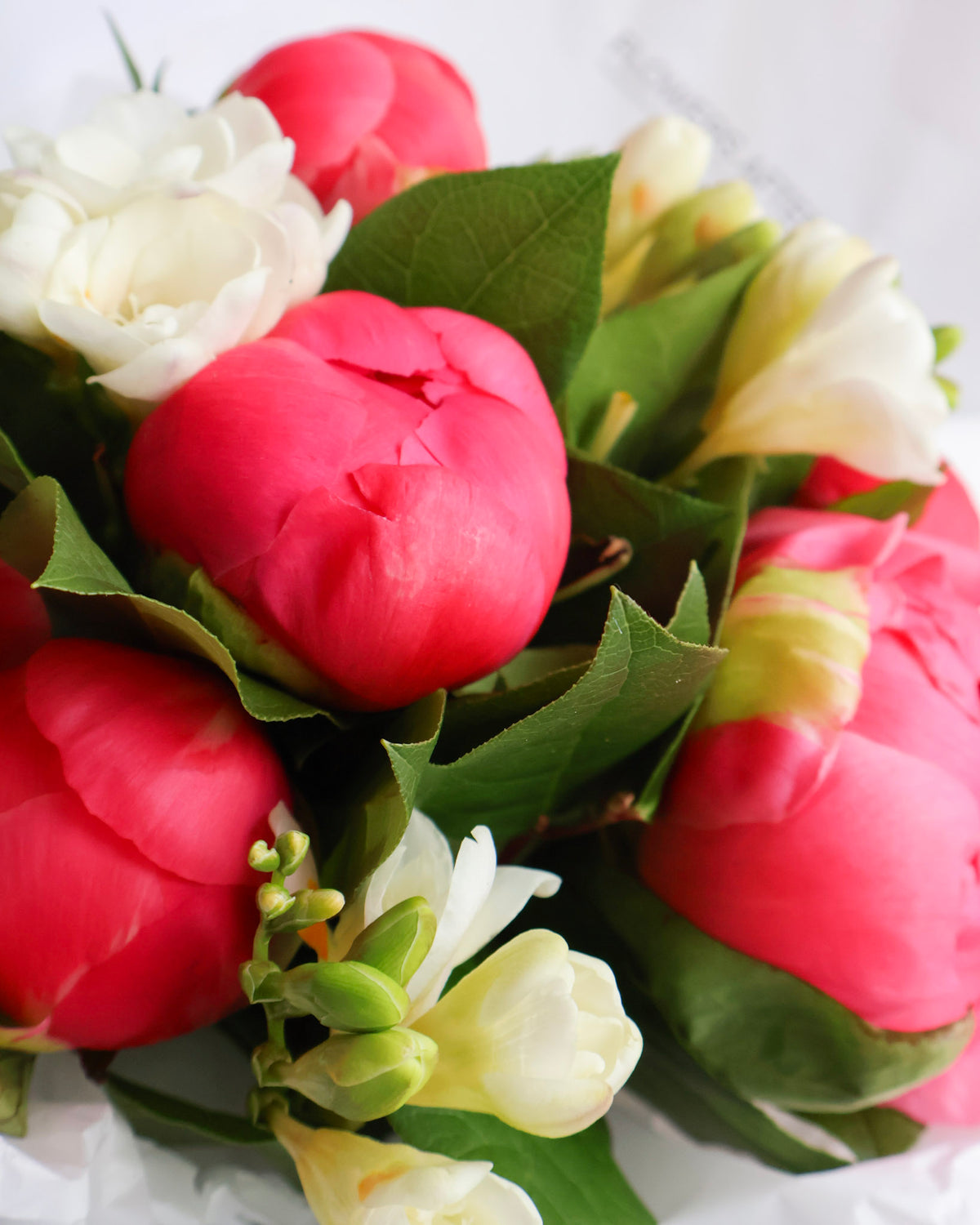 WEEKEND SPECIAL: CORAL KISS PEONY BOUQUET