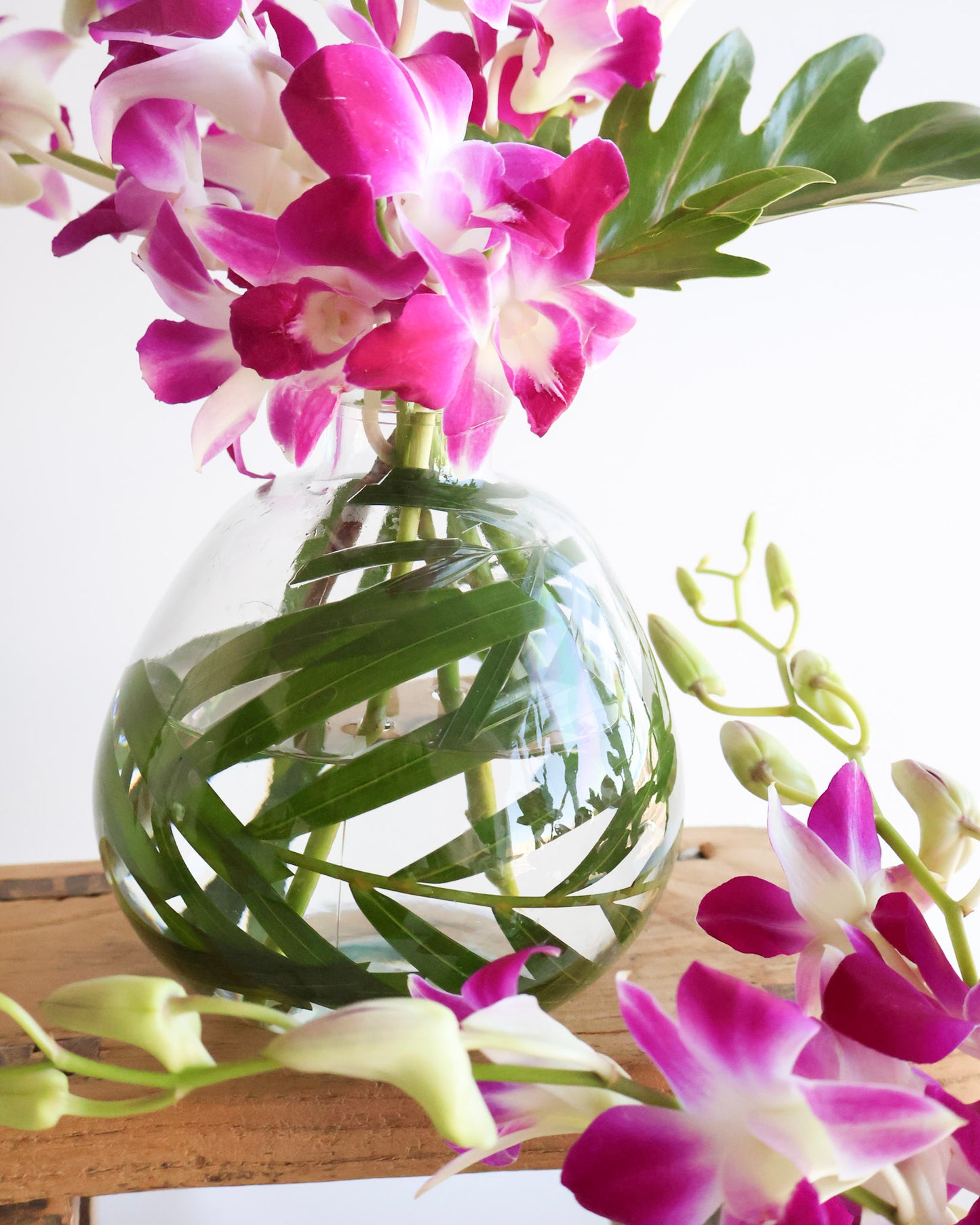 MID WEEK DEAL: BOTANICA ORCHID VASE
