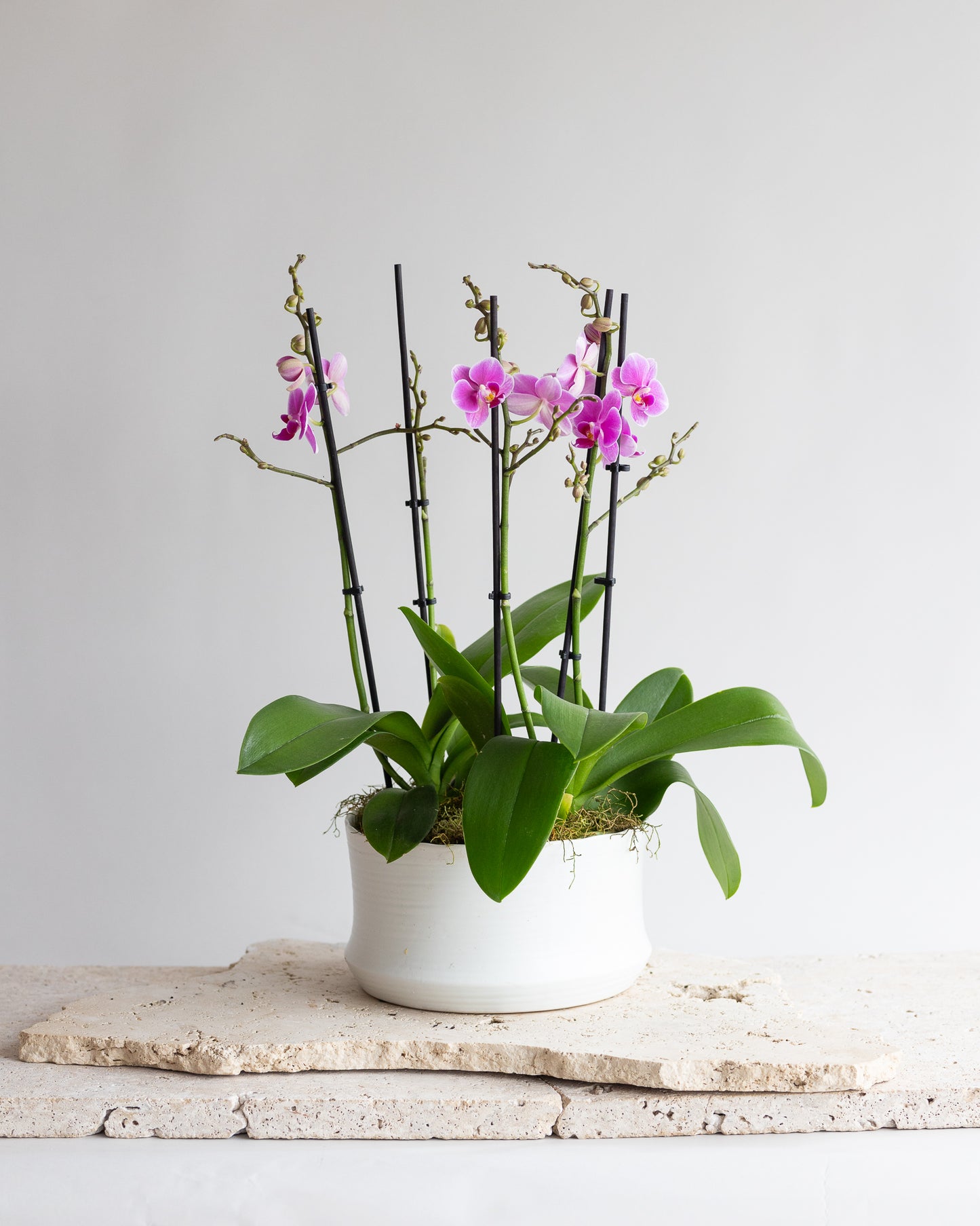 THE MAISON ORCHID BOWL