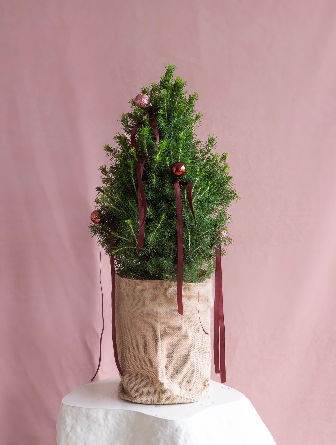 PETITE LIVING RIBBON CHRISTMAS TREE