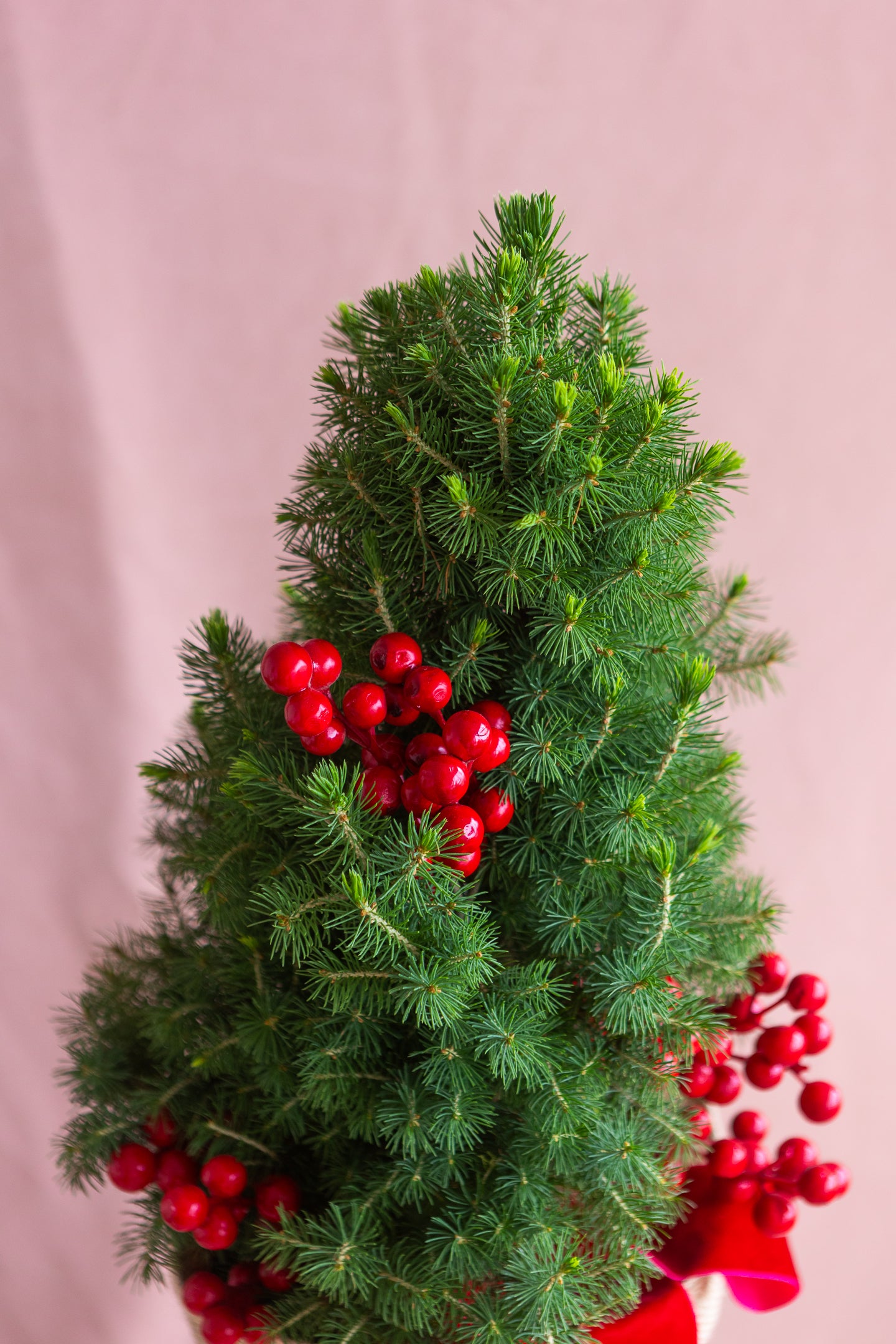 PETITE LIVING RIBBON CHRISTMAS TREE