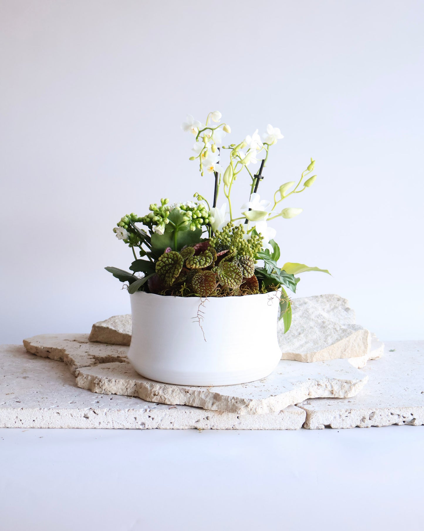 PETITE POT ET FLEUR: WHITE