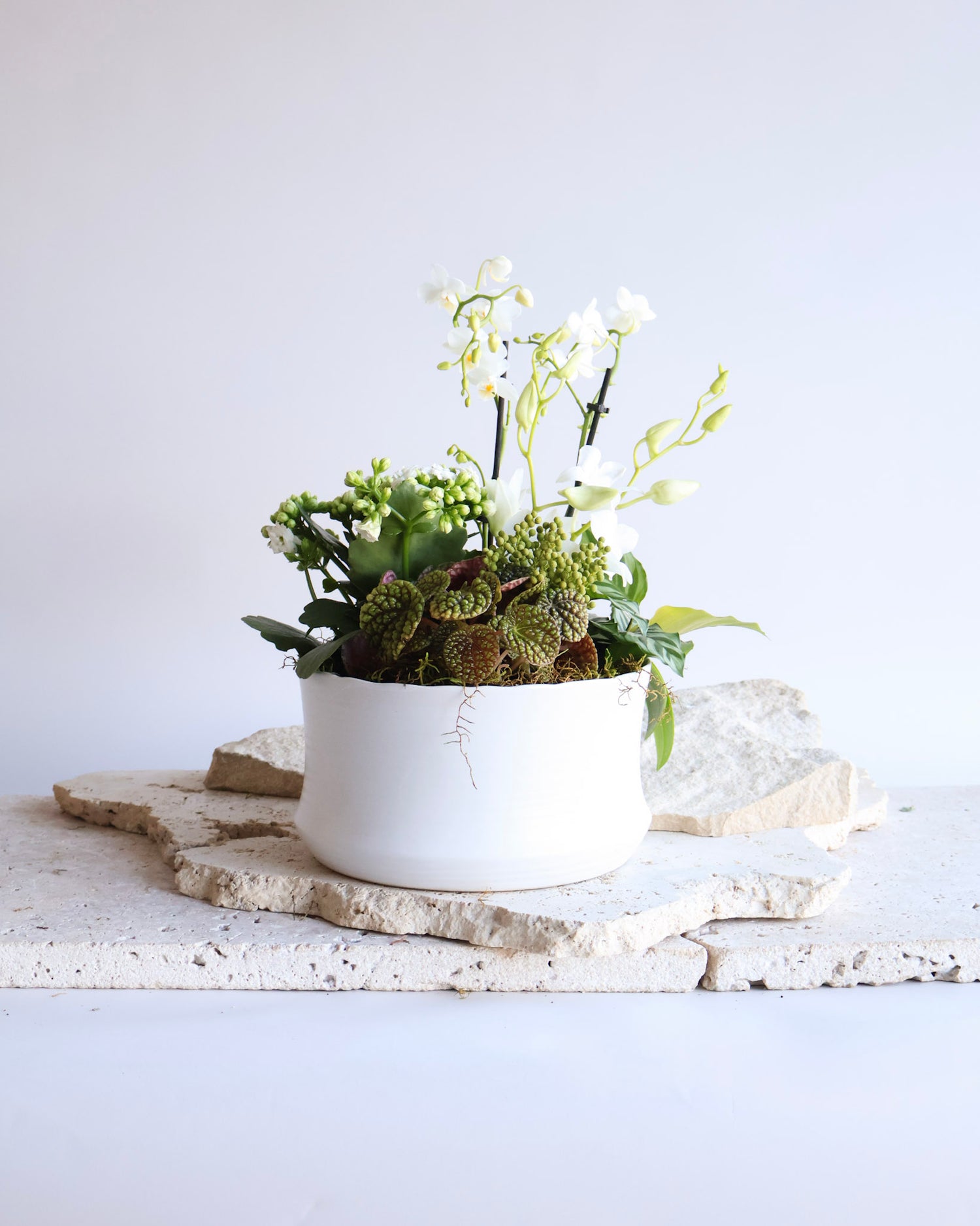 NEWEST PRODUCTS - Flowers After Hours