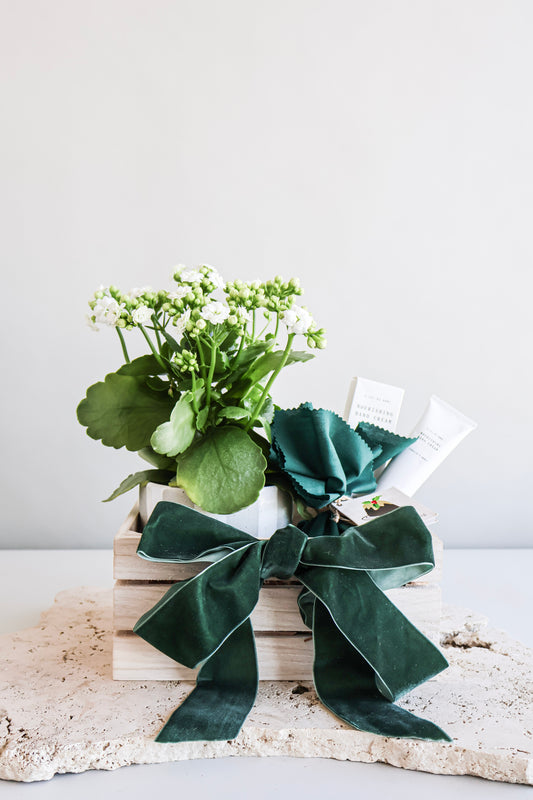 WEEKEND SPECIAL: PUDDING & PETALS CHRISTMAS GIFT CRATE