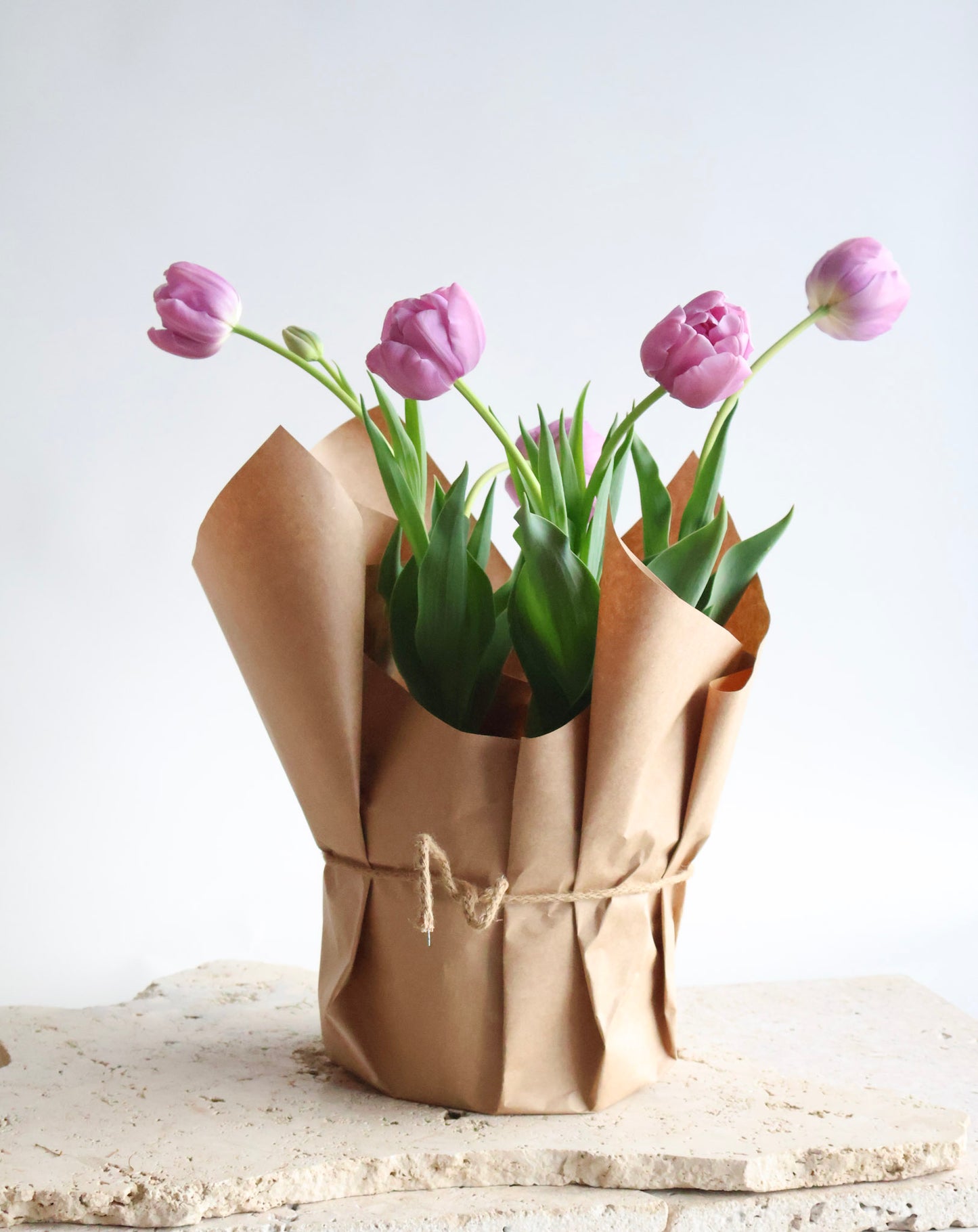WEEKEND SPECIAL: POTTED PEONY TULIPS PLANT