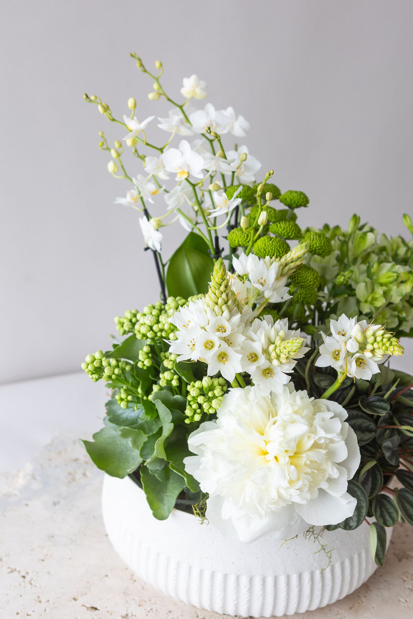 POT ET FLEUR: WHITE