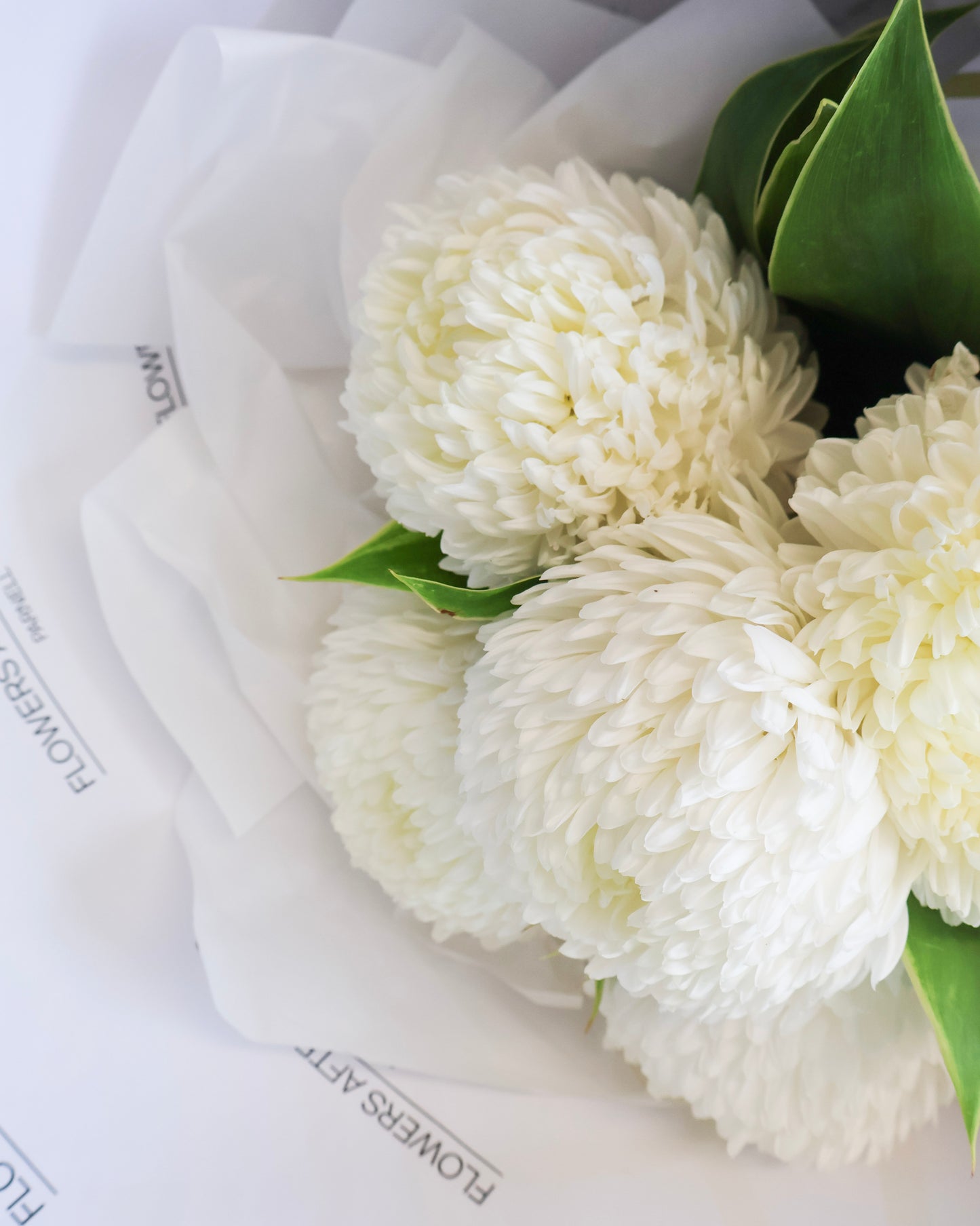 WEEKEND SPECIAL: WHITE PEONY CHRYSANTHEMUM BOUQUET
