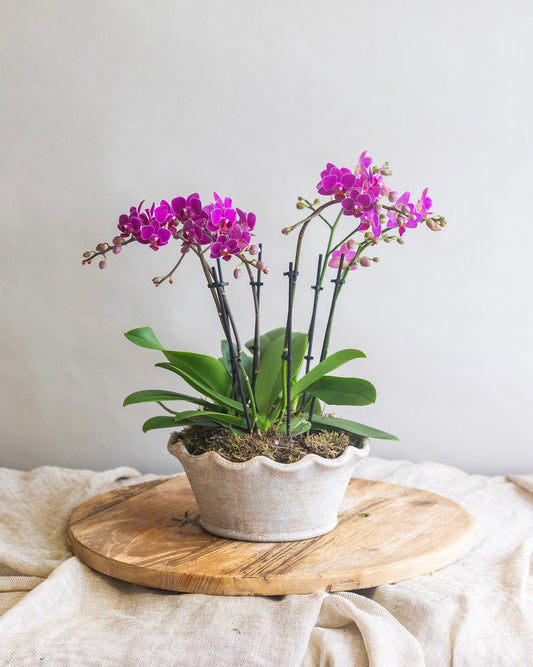 THE ATELIER ORCHID BOWL