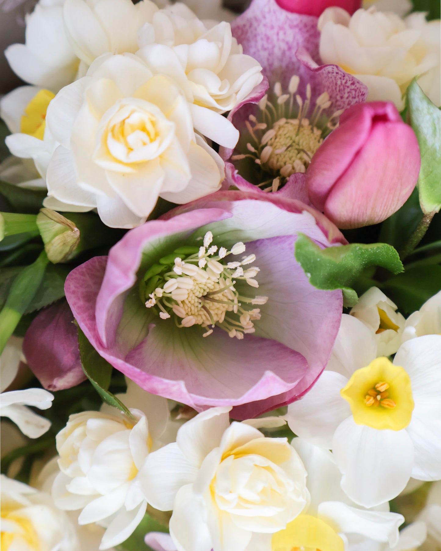 MID WEEK DEAL: BUTTER & BLUSH POSY