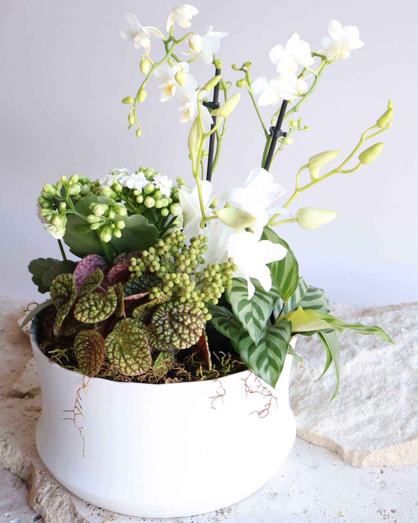 PETITE POT ET FLEUR: WHITE