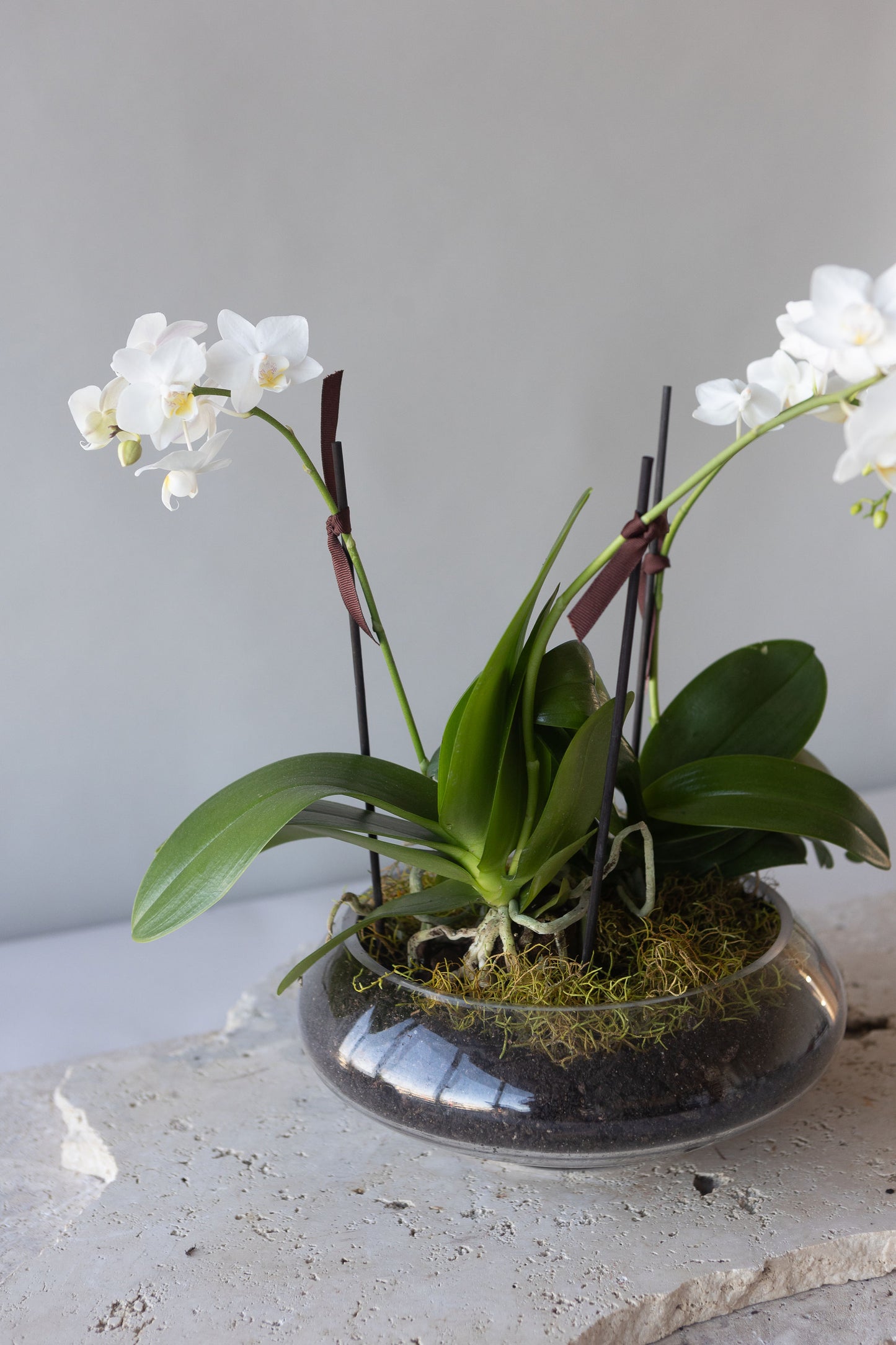 ORCHID BOWL