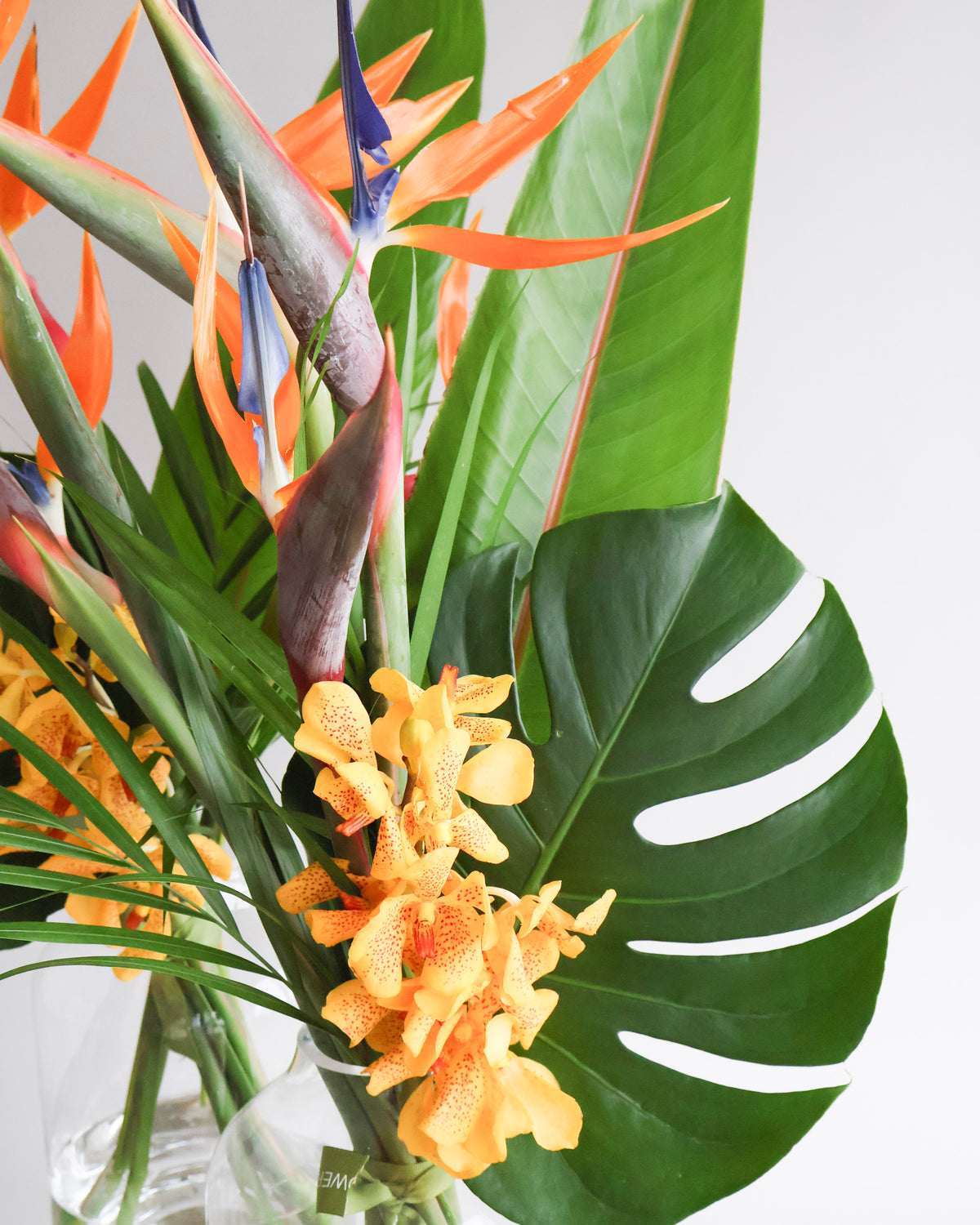 MID WEEK DEAL: TROPICAL ESCAPE VASE