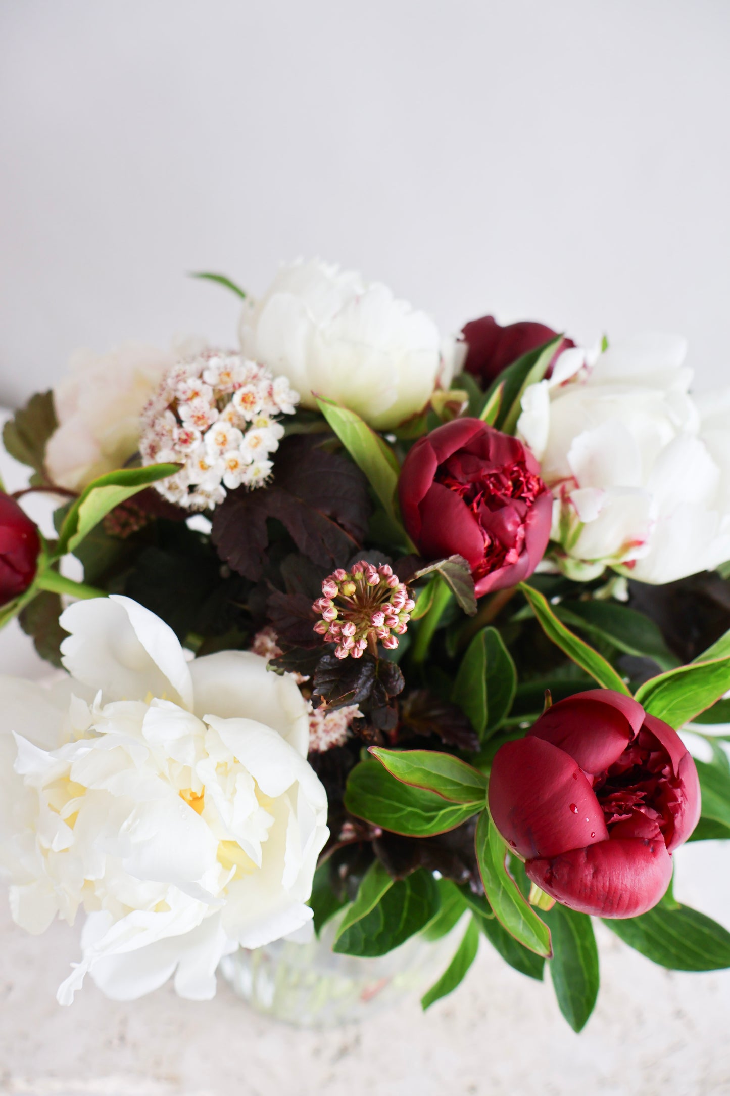 WEEKEND SPECIAL:  RED CHARM & WHITE PEONY BOUQUET