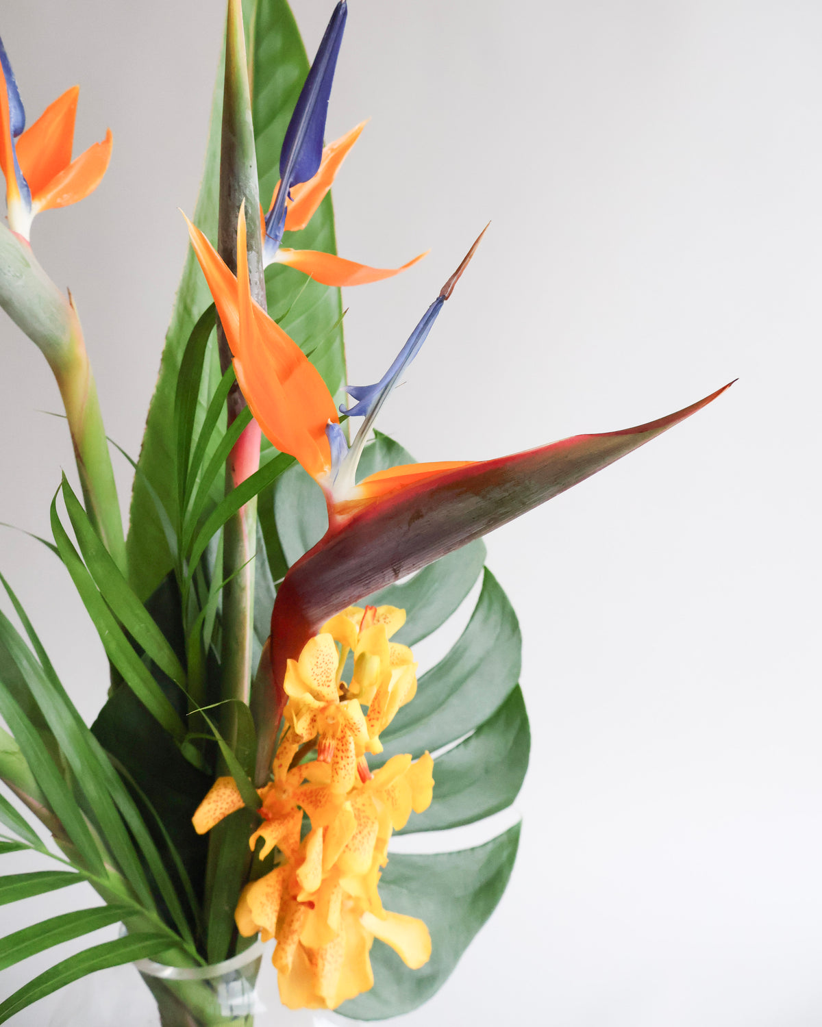 MID WEEK DEAL: TROPICAL ESCAPE VASE