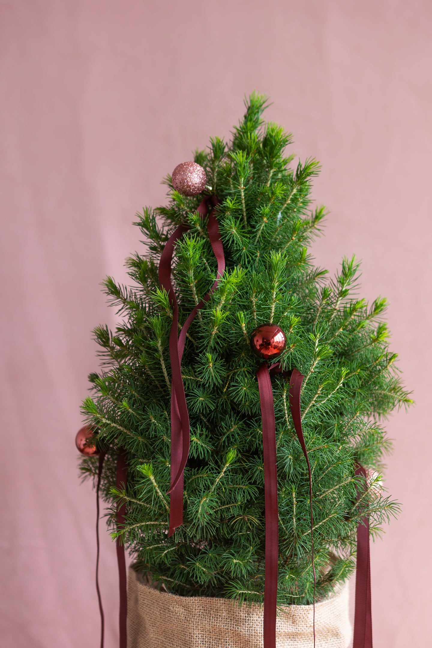 PETITE LIVING RIBBON CHRISTMAS TREE