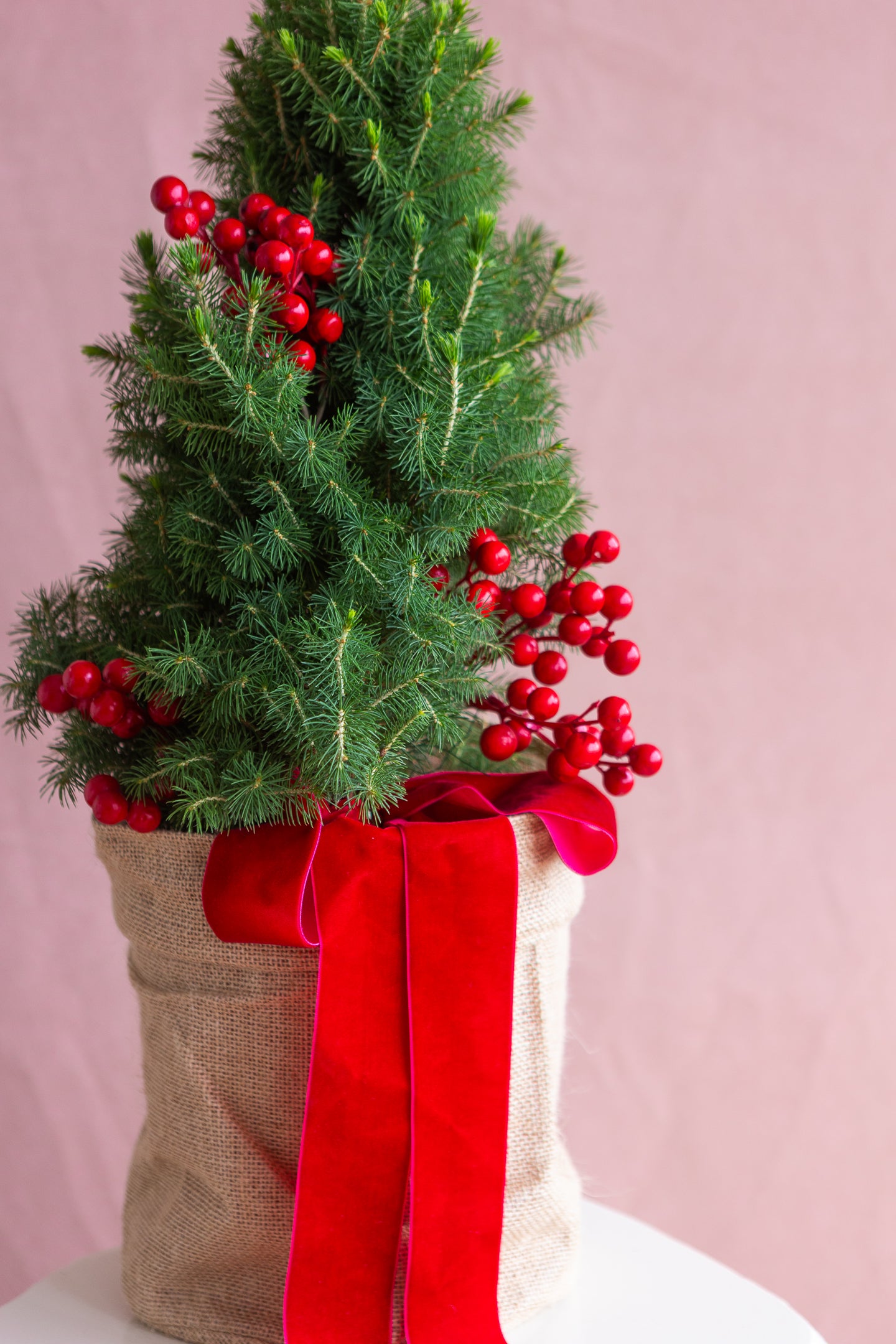 PETITE LIVING RIBBON CHRISTMAS TREE