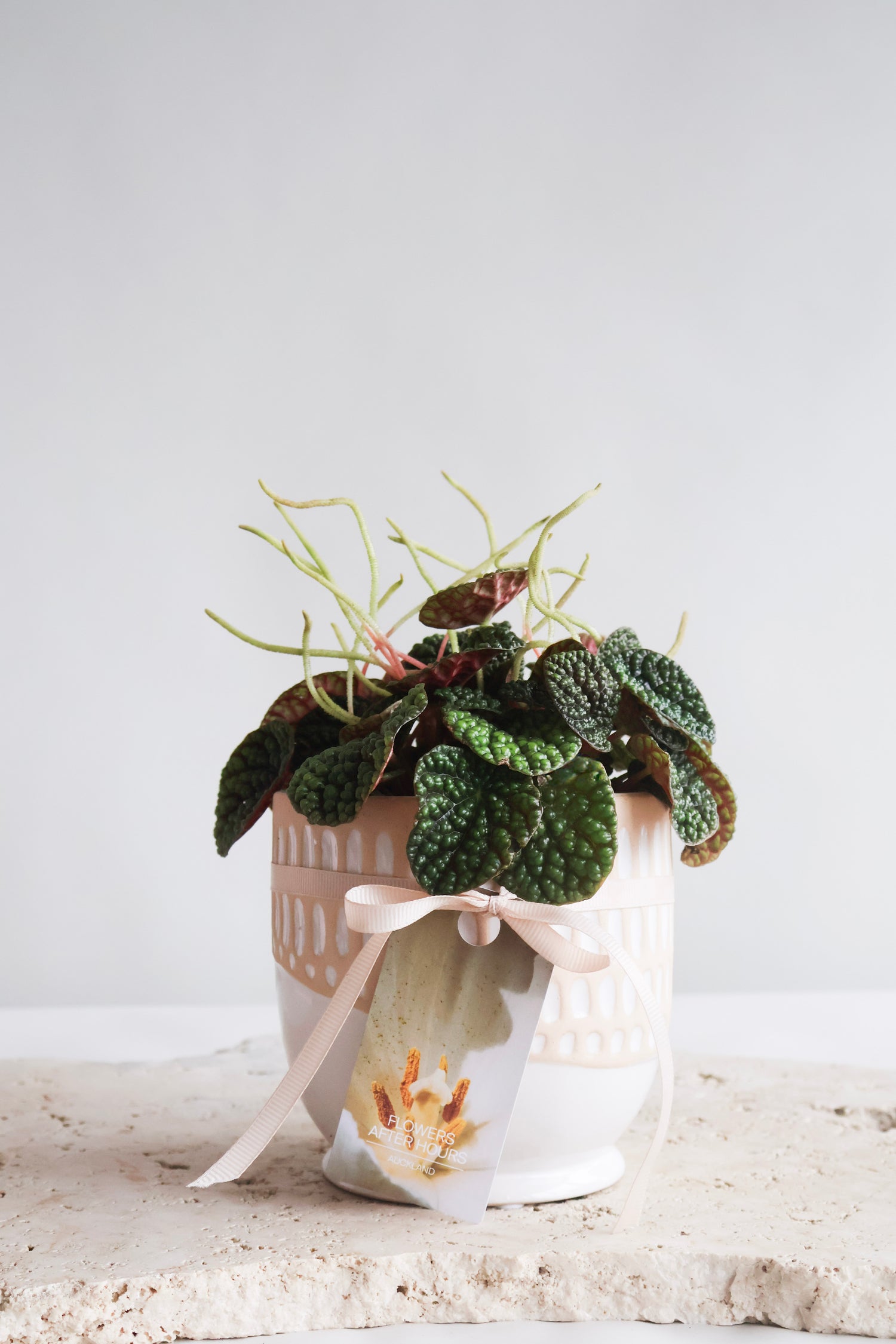 NEWEST PRODUCTS - Flowers After Hours