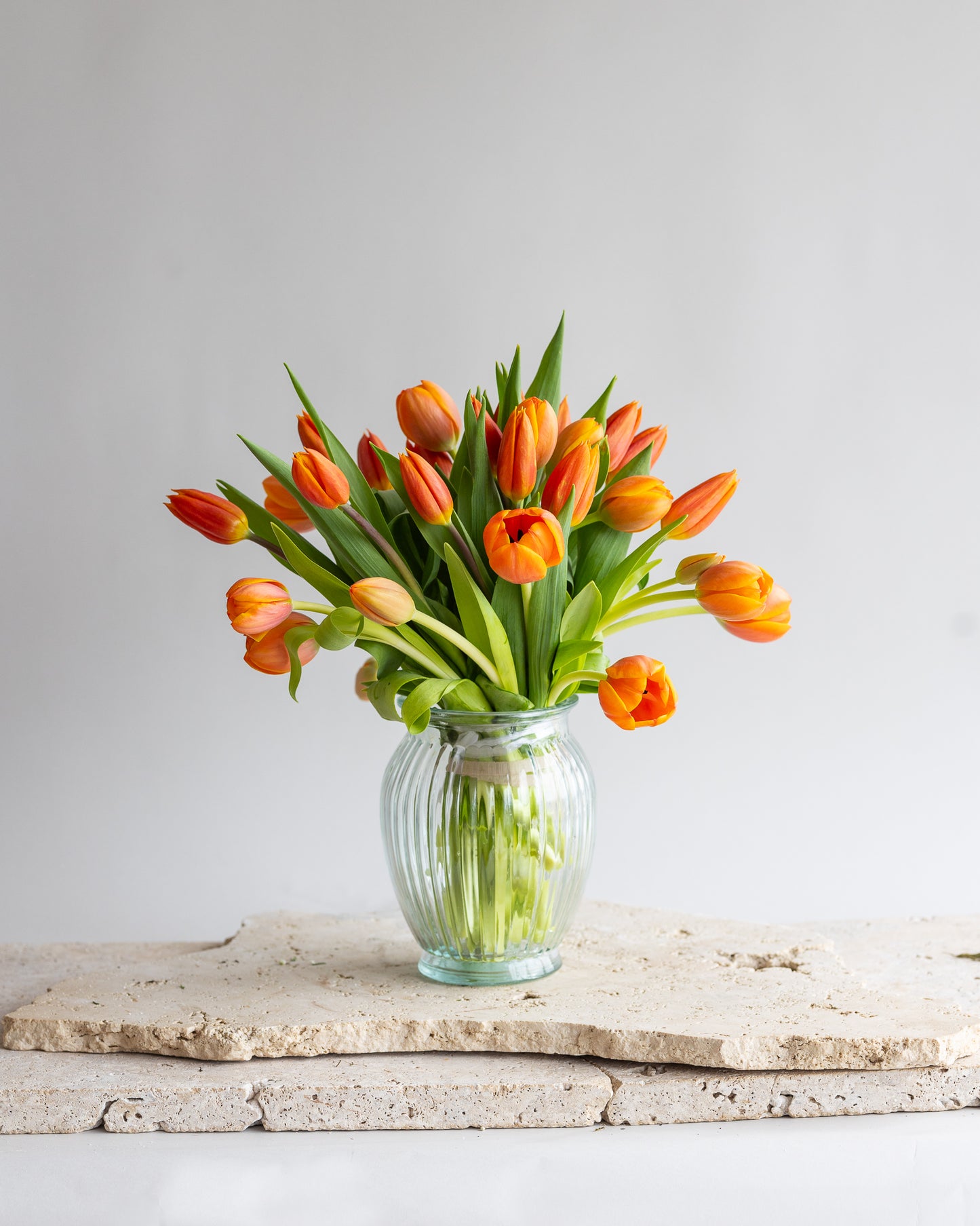 TULA: DUTCH PRIDE